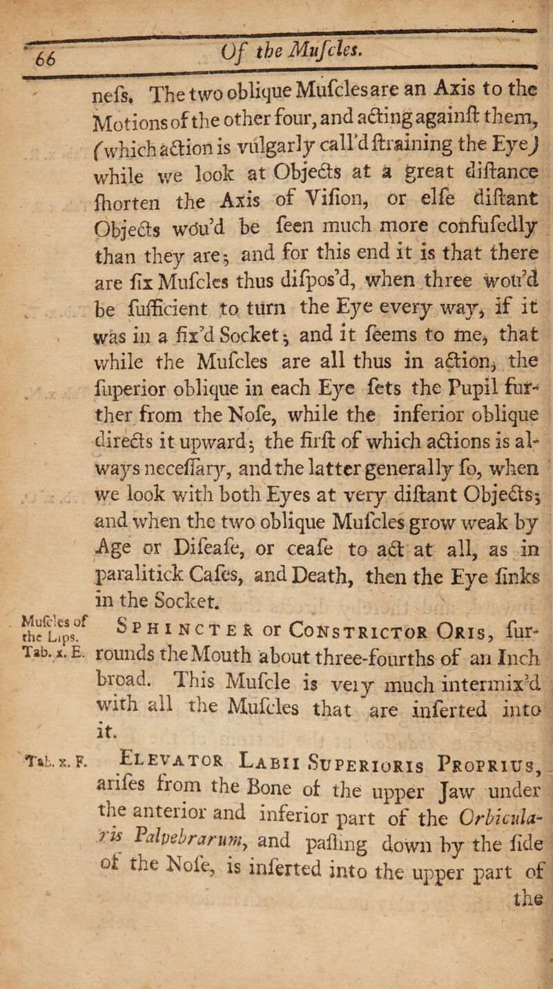 c nefs. The two oblique Mufcles are an Axis to the Motions of the other four, and ading againft them, (which adion is vulgarly- call'd ftraining the Eyej while we look at Objeds at a great diftance fhorten the Axis of Villon, or elfe diftant Objeds woud be feen much more confiifedly than they are*, and for this end it is that there are fix Mufcles thus difpos'd, when three wolf d be fufficient to turn the Eye every way* if it was in a fix’d Socket * and it feems to me* that while the Mufcles are all thus in adion* the fuperior oblique in each Eye fets the Pupil fur¬ ther from the Kofe, while the inferior oblique direds it upward * the firft of which adions is al¬ ways necefiary, and the latter generally fo, when we look with both Eyes at very diftant Objedsj and when the two oblique Mufcles grow weak by Age or Difeafe, or ceafe to ad at all* as in paralitick Cafes, and Death, then the Eye links in the Socket. thefL?ps°f ^pH1 Ncte r or Constrictor Oris, fur- lah. x.E. rounds the Mouth about three-fourths of an Inch broad. This Mufcle is veiy much intermix’d with all the Mufcles that are inferted into it. ;4 J Tat.x.f. Elevator Labii Superioris Propriits, aiifes from the Bone of the upper Jaw under tue anteiior and inferior part of the Orbicitla- is Valvebranm7 and palling down by the fide °t the Note, is inierted into the upper part of the