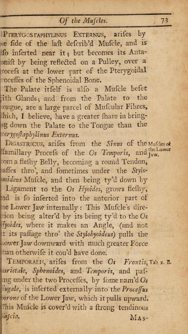 PrERYGosrAPHYLiNUS Externus, arifes by e fide of the laft defcrib’d Mufcle, and is fo inferted near it $ but becomes its Anta- )Rift by being refieded on a Pulley, over a rocefs at the lower part of the Pterygoidal mcefies of the Sphenoidal Bone. The Palate itfelf is alfo a Mufcle befet (ith Glands ^ and from the Palate to the ongue, are a large parcel of Mufcular Fibres, hich, I believe, have a greater {hare in bring- ig down the Palate to the Tongue than the ' erygqftapbylinus Extermis. Digastricus, arifes from the Sinus of the Mufcles of •famillary Procefs of the Os Temporis, andj^^°wur > om a flefliy Belly, becoming a round Tendon, | affes thro1, and fometimes under the Stylo- | widens Mufcle, and then being ty’d down by Ligament to the Os Hyoides, grows flefliy, rid is fo inferted into the anterior part of ne Lower Jaw internally : This Mufcles dire- i ion being alter’d by its being ty'd to the Os t hyoides, where it makes an Angle, (and not ; t its pafiage thro’ the Stylohyoideus) pulls the Gower Jaw downward with much greater Force * ban otherwife it cou’d have done. Temporalis, arifes from the Os Fronth, Tab. x. 'arietale, Sphenoides, and Temporis, and pal*- ng under the two Procefies, by fome nam'd Os | iugale, is inferted externally into the Procejfus * orone of the Lower Jaw, which it pulls upward. Phis Mufcle is cover'd with a ftrong tendinous fajcia* Mas-