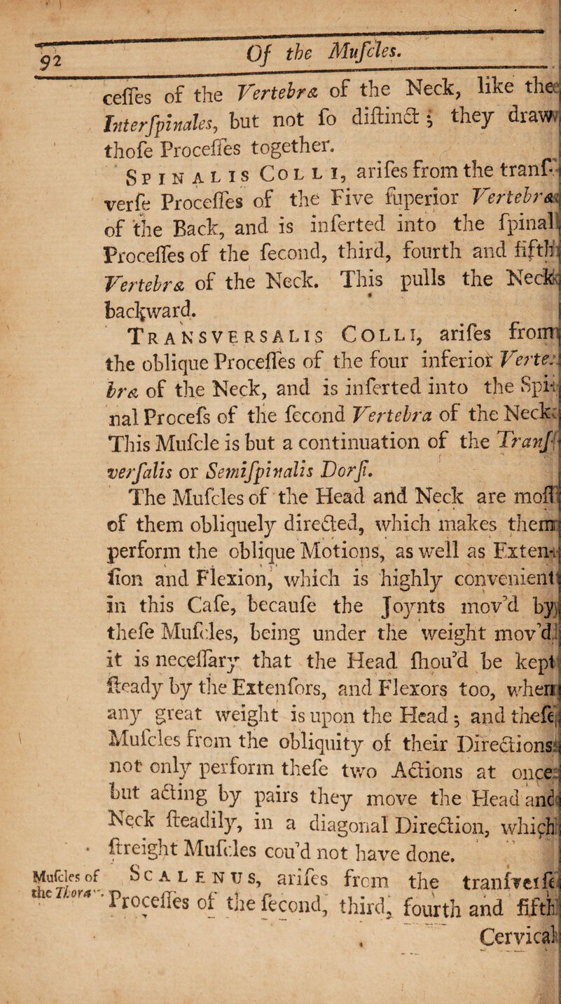 ccfics of the Vertebra of the Neck, liice tlietj biterfpinales, but not fo did in cl; they draw/; thofe Procefies together. j Spinalis Colli, arifes from the tranf-’j verfe Procefies of the Five fuperior Vertebra , of the Back, and is inferted into the fpinalj Procefies of the fecond, third, fourth and fifth ; Vertebra of the Neck. This pulls the Neck; backward. Trans versa Lis Colli, arifes fromi the oblique Procefies of the four inferior Verte.i IrA of the Keck, and is inferted into the Spit] nal Procefs of the fecond Vertebra of the Neck This Mufcle is but a continuation of the Tranf^ verfalis or Setnifpittalis Dorji. The Mufcles of the Plead and Keck are moil I of them obliquely directed, which makes them perform the oblique Motions, as well as Extent- lion and Flexion, which is highly convenient in this Cafe, becaufe the Joynts mov'd by thefe Mufcles, being under the weight mov'd,: it is needfary that the Head fhou d be kepi fteady by the Extenfors, and Flexors too, when any great weight is upon the Head •, and thefe) Mufcles from the obliquity of their Directions^ not only perform thefe two Actions at once:; but aft in g by pairs they move the Head and] Keck fteadily, in a diagonal Direction, which; • {freight Mufcles cou'd not have done. j Mufcles of Scalenus, arifes from the tranfveilH Precedes of tne fecond, third, fourth and fifth; Cervical!