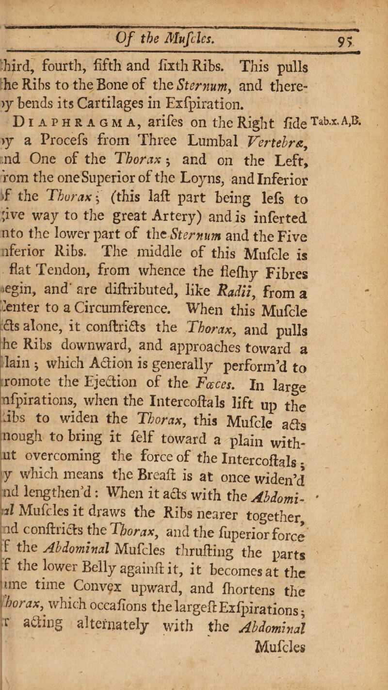 bird, fourth, fifth and fixth Ribs. This pulls he Ribs to the Bone of the Sternum, and there- >y bends its Cartilages in Exfpiration. Diaphragm a, arifes on the Right fide Tabx A,a >y a Procefs from Three Lumbal Vertebra, ;nd One of the Thorax•, and on the Left, rom the one Superior of the Loyns, and Inferior if the Thorax •, (this laft part being lefs to ;ive way to the great Artery) and is inferted nto the lower part of the Sternum and the Five iferior Ribs. The middle of this MufcJe is flat Tendon, from whence the flefhy Fibres ■egin, and' are diftributed, like Radii, from a ’enter to a Circumference. When this Mufcle els alone, it conftrifts the Thorax, and pulls he Ribs downward, and approaches toward a lain ; which Action is generally perform’d to romote the Ejection of the Faces. In large jnfpirations, when the Intercoftals lift up the ibs to widen the Thorax, this Mufcle afls nough to bring it felf toward a plain with- ut overcoming the force of the Intercoftals • y which means the Breaft is at once widen’d ad lengthen’d: When it ads with the Abdomi- • il Mu files it draws the Ribs nearer together jnd conftrias the Thorax, and the fuperior force jf the Abdominal Mufcles thrufting the parts f the lower Belly againft it, it becomes at the «ne time Convex upward, and fhortens the 'borax, which occafions the largeft Exfpirations; r a^ing alternately with the Abdominal Mufcles V'.