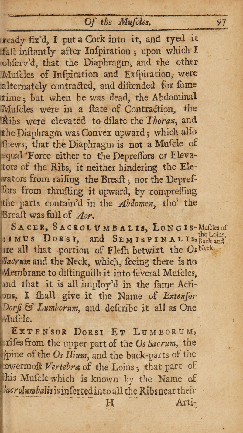 iready fix’d, I put a Cork into it, and tyed it fa ft inftantly after Infpiration *5 upon which I obferv’d, that the Diaphragm, and the other Mufcles of Infpiration and Exfpiration, were alternately contracted, and diftended for feme time^ but when he was dead, the Abdominal Mufcles were in a ftate of Contraction, the ;Rlhs were elevated to dilate the Thorax, and dhe Diaphragm was Convex upward ^ which alfo iihews, that the Diaphragm is not aMufcle of ; equal'Force either to the Depreffors or.Eleva¬ tors of the Ribs, it neither hindering the Ele¬ vators from railing; the Breaft *, nor the Depref* Tors from thrufting it upward, by comprefling the parts contain’d in the Abdomen^ the5 the Breaft was full of Aer. SaCER, S AC ROt tr M B A L IS, Lo N G t S-Mufdes of 51 mu s Dors i, and Semishnali ire all that portion of Flefh betwixt the OsNec^ Sacrum and the Neck, which, feeing there is no Membrane to diftlnguilh it into feveral Mufdes* I ind that it is all imploy'd in the fame ACti- ions, I fhall give it the Name of Exte?tfor \ Oorfi & Lumborum, and deferibe it all as One j Mufcle. Extensor Dorsi Et Lumborum* i .rifesfrom the upper part of the Os Sacrum, the opine of the Os Ilium, and the back-parts of the kowermoft Vertebra of the Loins *, that part of phis Mufcle which is known by the Name of I 'MrolumbaVn is inferted into all the Ribsnear their H Arti-