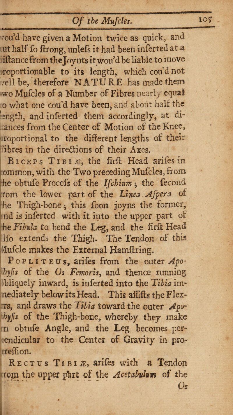 roil'd have given a Motion twice as quick, and ut half fo ftrong, unlefs it had been inferted at a iftancefrom thejoynts it wou'd be liable to move roportionable to its length, which coifd not rell be, therefore NATURE has made them wo Mufcles of a Number of Fibres nearly equal < o what one con'd have been, and about half the fngth, and inferted them accordingly, at di- :ances from the Center of Motion of the Knee, roportional to the different lengths of their ibres in the directions of their Axes. ! Biceps T i b i the firft Head arifes in ! ommon, with the Two preceding Mufcles, from he obtufe Procefs of the Ifchium ^ the fecond rom the lower part of the Lznea Afpera of: ; he Thigh-bone $ this foon joy ns the former, nd is inferted with it into the upper part of he Fibula to bend the Leg, and the firR Head Ufa extends the Thigh* The Tendon of this fufcle makes the External Hamftring* ! Popliteus, arifes from the outer Apo- hyfis of the Os Femoris, and thence running bliquely inward, is inferted into the Tibia im- aediately below its Head. This affiffs the Flex- rs, and draws the Tibia toward the outer Apcr hyfs of the Thigh-bone, whereby they make n obtufe Angle, and the Leg becomes per-* endicular to the Center of Gravity in pro- rreffion. Rectus Ti bi ;e, arifes with a Tendon rona the upper phrt of the Acetabulum of the