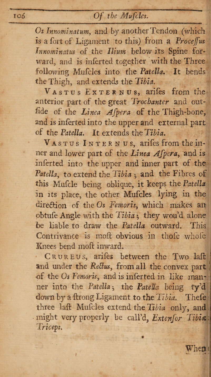 Os Innominatum, and by another Tendon (which is a fort of Ligament to this) from a Proceffus Jnnominaius of the llhun below its Spine for¬ ward, and is inferted together with the Three following Mufcles into the Patella It bends the Thigh, and extends the Tibia. Vastus Externus, arifes from the anterior part of the great Trochanter and out- fide of the Line a Afpera of the Thigh-bone, and is inter ted into the upper and external part of the Patella. It extends the Tibia. Vas tus Intern us, arifes from the in¬ ner and lower part of the Line a Afpera, and is inferted into the upper and inner part of the Patella, to extend the Tibia *, and the Fibres of this Mufcle being oblique, it keeps the Patella in its place, the other Mufcles lying in the direftion of the Os Femoiis., which makes an obtufe Angle with the Tibia, they woo'd alone fee liable to draw the Patella outward. This Contrivance is moft obvious in thofe whofe Knees bend moft inward. • Crureus, arifes between the Two laft : and under the ReBusy from all the convex part t of the Os Femoris, and is inferted in like man- ner into the Patella $ the PateUa being ty’d down by a ftrong Ligament to the Tibia. Thefe three laft Mufcles extend the Tibia only, and might very properly be call’d, Extenfor Tibi&; Triceps.
