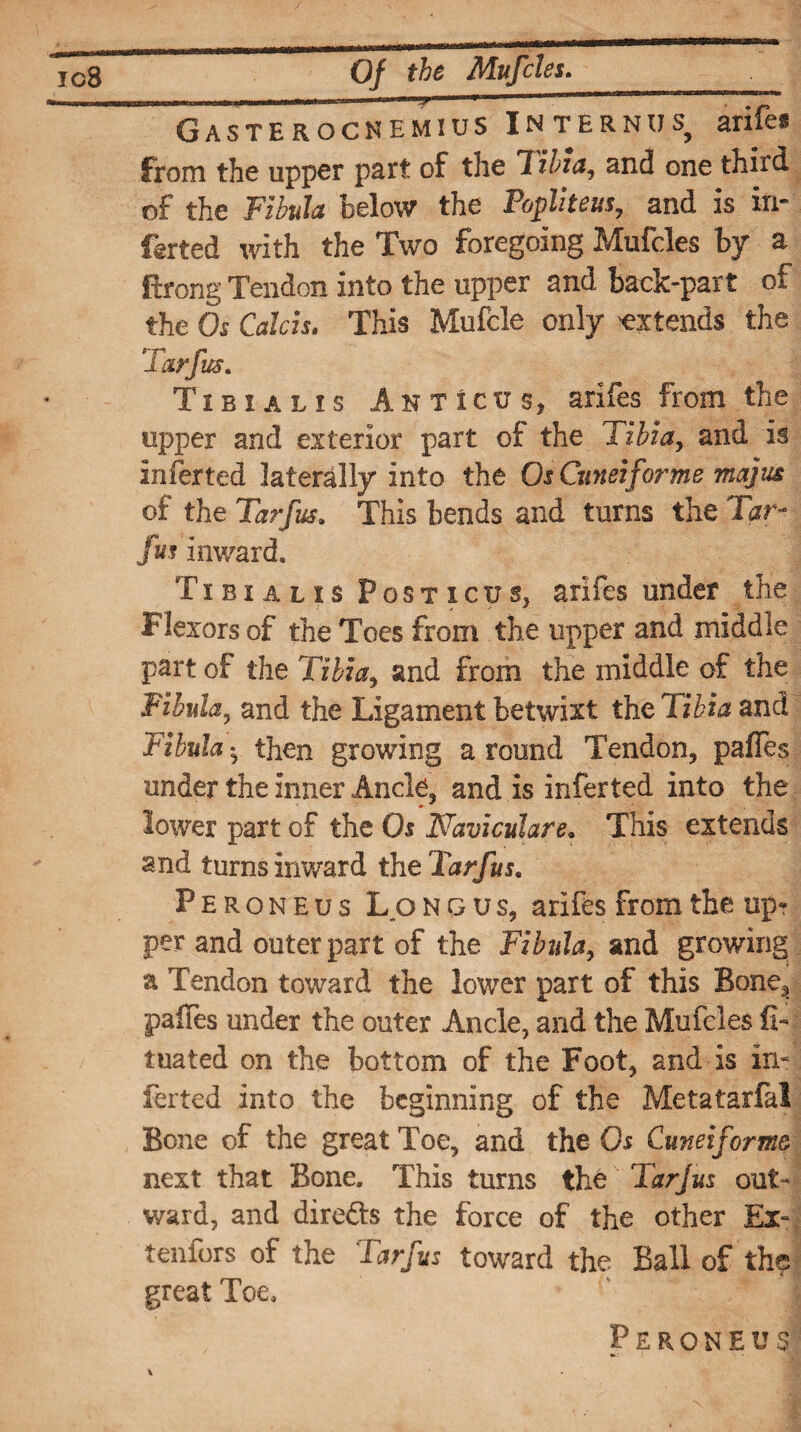 Gasterocnemius Internus arifes from the upper part of the Tibia, and one thiid of the Fibula below the Popliteus, and is ill- farted with the Two foregoing Mufcles by a ftrong Tendon into the upper and back-part of the Os Calch. This Mufcle only -extends the Tarfus. Tibialis Anticus, arifes from the upper and exterior part oi the Tibia, and is inferred laterally into the Os Cuneiforme majus of the Tarfus. This bends and turns the Tar- fus inward. Tibialis Posticus, arifes under the Flexors of the Toes from the upper and middle part of the Tibia, and from the middle of the Fibula, and the Ligament betwixt the Tibia and Fibula ♦ then growing a round Tendon, pafies under the inner Ancle, and is inferted into the lower part of the Os Naviculare. This extends and turns inward the Tarfus. Peroneus Long us, arifes from the up¬ per and outer part of the Fibula, and growing a Tendon toward the lower part of this Bone,, pafies under the outer Ancle, and the Mufcles fi« tuated on the bottom of the Foot, and is in* ferted into the beginning of the Metatarfal Bone of the great Toe, and the Os Cuneiforms next that Bone. This turns the Tarjus out¬ ward, and direfts the force of the other Ex- tenfors of the Tarfus toward the Ball of the great Toe, Peroneus