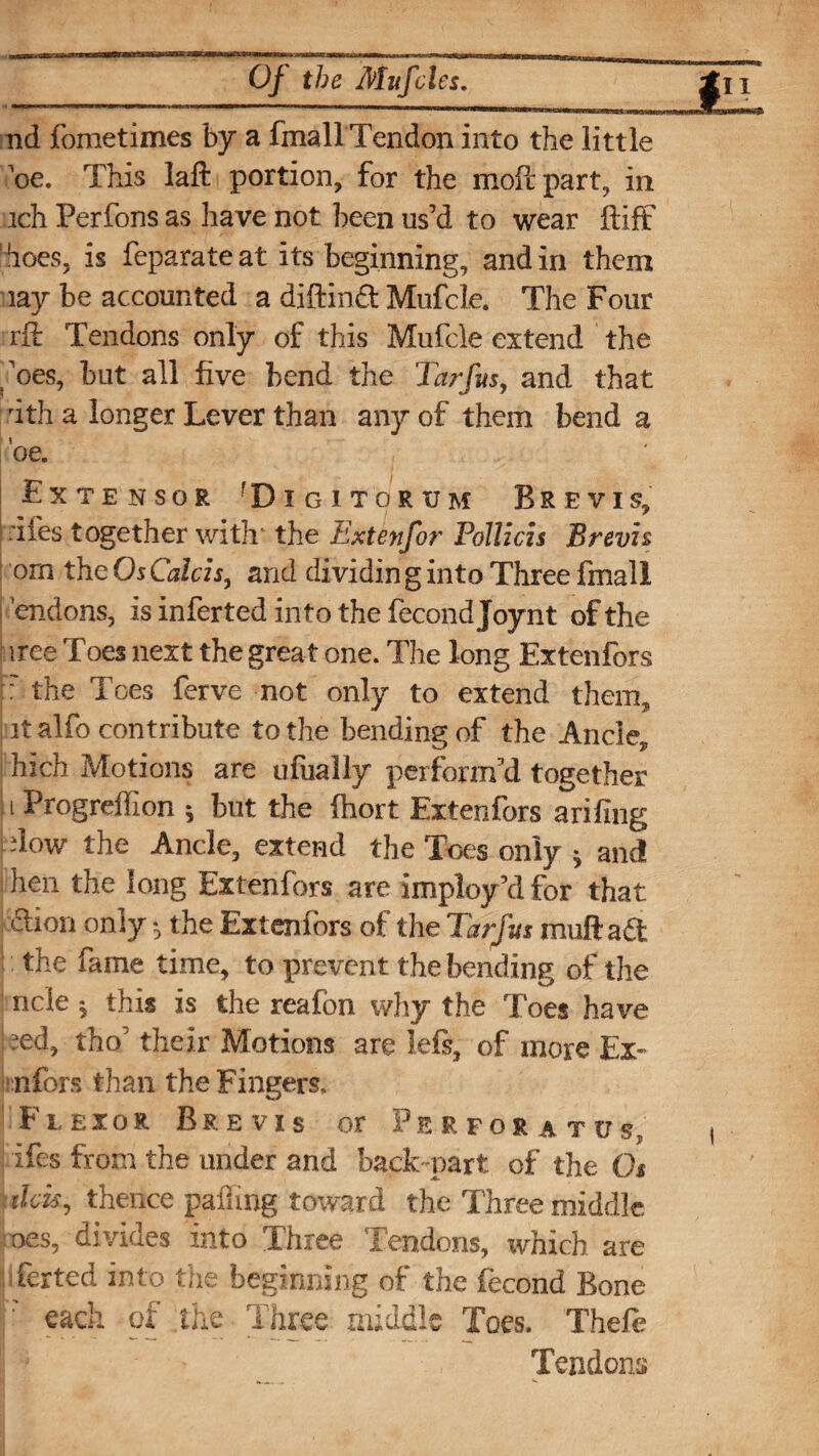 nd fometimes by a fmall Tendon into the little be. This laft portion, for the molt part, in ich Perfons as have not been us’d to wear ft iff' hoes, is feparate at its beginning, and in them lay be accounted a diftinft Mufcle. The Four rft Tendons only of this Mufcle extend the ,'oes, but all five bend the Tar fits, and that rith a longer Lever than any of them bend a oe. Extensor !Digitoeum Brevis, dies together with the Extenfor PolUcis Brevis orn the Os Calcis, and dividin g into Three fmall endons, is inferted into the fecond Joynt of the iree Toes next the great one. The long Extenfors :r the Toes ferve not only to extend them, it alfo contribute to the bending of the Ancle, hich Motions are ufually perform’d together i Progreffion ; but the (hort Extenfors arifing dow the Ancle, extend the Toes only j and hen the long Extenfors are imploy’d for that Sion only ■, the Extenfors of the Tarfut muftaft the fame time, to prevent the bending of the ncle 5 this is the reafon why the Toes have ;ed, tho’ their Motions are lefs, of more Ex* infers than the Fingers, Flexor Brevis or Perforatos, ifes from the under and back-part of the Os this, thence palling toward the Three middle roes, divides into Three Tendons, which are ferted into the beginning of the fecond Bone each of the Three middle Toes. Thefe Tendons