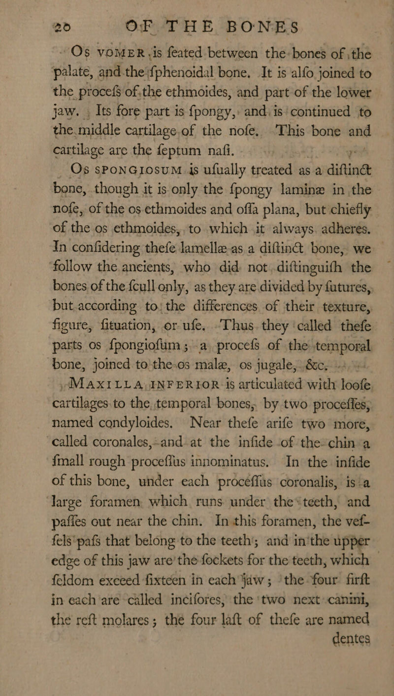 “Os VOMER is feated between the: bones of the palate, and the\fphenoidal bone. It is alfo joined to the procefS of.the ethmoides, and part of the lower jaw. . Its fore part is fpongy,: and. is‘continued to the. middle cartilage.of the nofe, This bone and | cartilage are the feptum nafi. Os sPoNGIosuM.4s ufually treated asa difine bone, though it is only the fpongy lamine in the nofe, of the os ethmoides and offa plana, but chiefly of the os ethmoides, to which it always. adheres. In confidering thefe lamelle-as a diftin®@, bone, we ‘follow the ancients, who did: not. diftinguifh the bones of the {cull only, as they are divided by futures, but.according to: the differences of their texture,. figure, fituation, or ufe. .'Thus. they ‘called thefe parts os fpongiofum;.-a procefs of the temporal ‘bone, joined to the-os male, os jugale, Sc.) AMAXILLA, INFERIOR‘ Is articulated with loofe. cartilages to the temporal bones, by two proceffes, named condyloides. Near thefe arife two more, called coronales,-and at the infide of the-chin a {mall rough proceflus innominatus. In the infide of this bone, under each proceffus coronalis, is-a Jarge foramen, which runs under the&lt;teeth, and paffes out near the chin. In this foramen, the vef- fels‘pafs that belong to the teeth’; and in'the upper edge of this jaw are’ the fockets for the teeth, which feldom exceed fixtcen in each Jaw ; ‘the four firft in each ‘are called incifores, the 'two next»canil, the reft molares; the four laft of thefe are named dentes