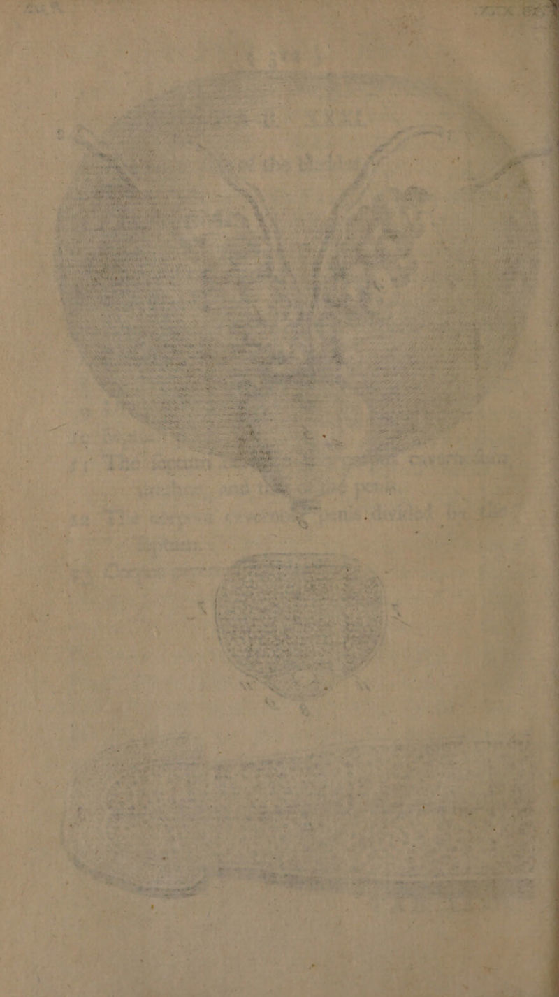 . , ’ # 1, 4 we) ao z te, © avaga) ee Paine, ed “ale rey ‘ vera 4 9 we JAayewt | aa cas ae are” Se lee gee Sands | teat 0 me epee 8 er 7