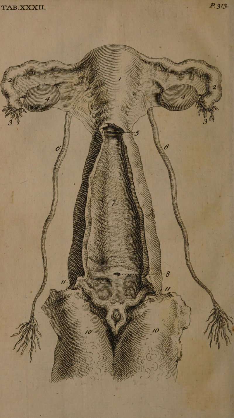 973. <= —. SS \\ AY AN RAO Wd WY