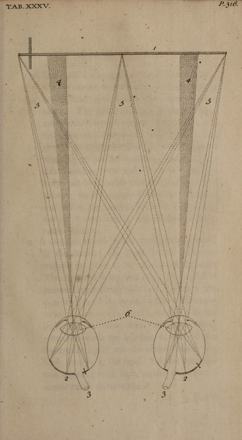 ne Y (> ey DUOC TOT EEO ECO that WATAS . TYE) TT TCCUICCCTTN ETOCS EO CU TUTTO Be Naas ee DURST HOO ENA tN 1th MITTIN