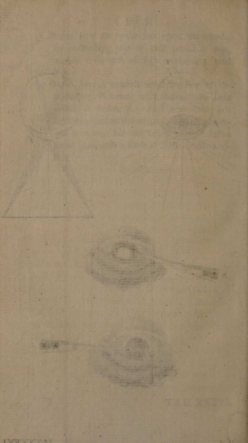 7 Siri i ae \s : s oe oa ts ? 2 Pa Re ease aint a aa ee : S. . Rhee ape BRS 5108 all 5 ' ‘3 - zt ‘ ao phat Se. Ue ee eam SA We at he bio A: : Pati A OAT. oe a Phas abe . pais PES ey : ‘. 4 mori. | he r = he aa ane Wha oR anche at yi oh eae Ks ii T ry mh a a ? . . % the. RTs 4% sets or ’ riereg iy «a5 “ ol rs ive ~ sg “kop he a: ere. oe SY dee Oa we p a. Ae ve ‘ \ ga aeB ie 6 | + « 4 oF ech t “ Role f : : r * i. : i t ‘t ¢ a ¥ J 4 34 oA A ; [ P ‘ > ae We 4 f : ‘ P hear - a $ ae ¥. —_ ina ‘772; De i bes 2 eAKS 1 dies