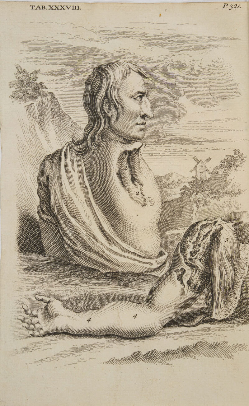 aaeiee aaa Sac RES ZZ SSSA es — Ni = SSS ™~ \ \ AY \ YON \ ‘ carom ) a ‘\ H If \ \ <7 FEES OAY ZA —aA oe { SNES Sse3FZ ~ = wx SSS —— a oo ARK) i i ; ‘7 Te, TF OP EI = N LH YALAFTASE LL ALY 7 , we ‘ ~