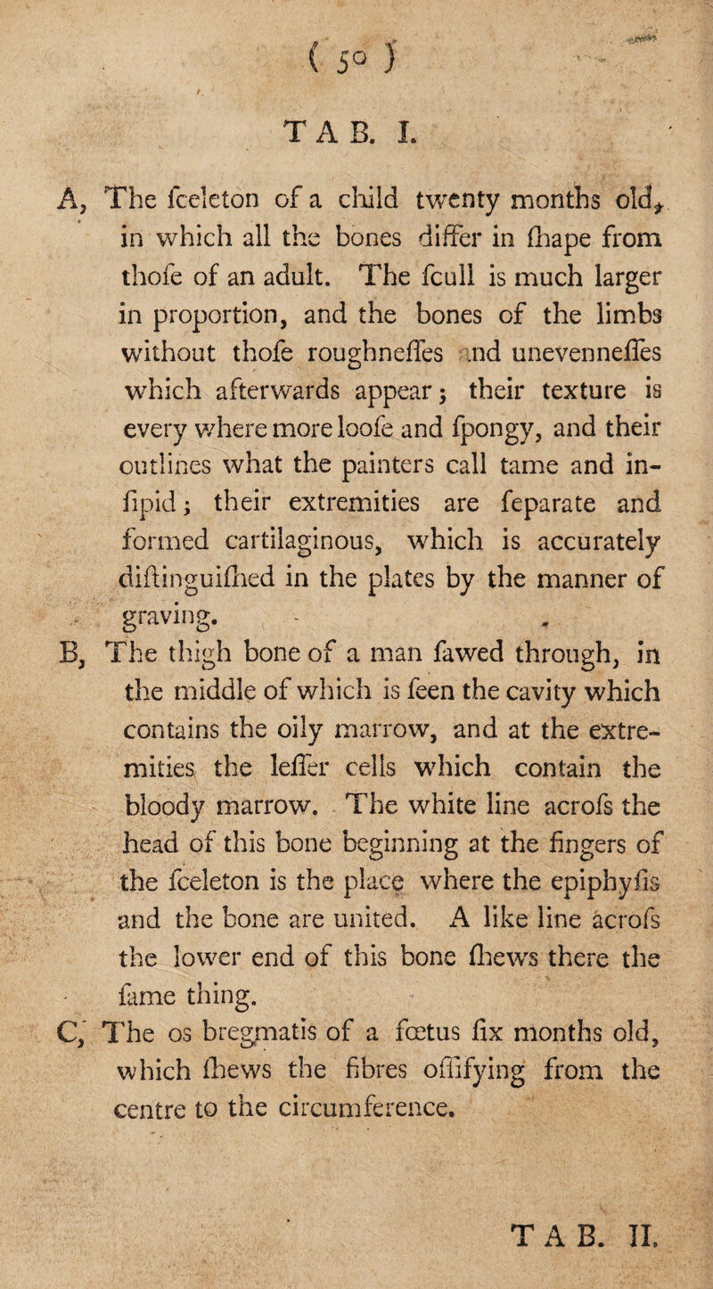 5° ) /. 4 . o, •, ' i' i ; TAB. I A, The fceleton of a child twenty months old* in which all the bones differ in fhape from thofe of an adult. The fcull is much larger in proportion, and the bones of the limbs without thofe roughneflfes ind unevenneffes which afterwards appear; their texture is every where more loofe and fpongy, and their outlines what the painters call tame and in- fipid; their extremities are feparate and formed cartilaginous, which is accurately diftinguifhed in the plates by the manner of graving. B, The thigh bone of a man fa wed through, in the middle of which is feen the cavity which contains the oily marrow, and at the extre¬ mities the lelfer cells which contain the bloody marrow. The white line acrofs the head of this bone beginning at the fingers of the fceleton is the place where the epiphyfis and the bone are united. A like line acrofs the lower end of this bone (hews there the fame thing. C, The os bregmatis of a foetus fix months old, which (hews the fibres offifying from the centre to the circumference. TAB. IL