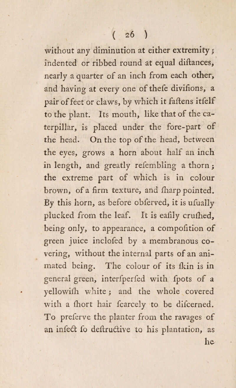without any diminution at either extremity; f indented or ribbed round at equal diftances, nearly a quarter of an inch from each other, and having at every one of thefe divifions, a pair of feet or claws, by which it faftens itfelf to the plant. Its mouth, like that of the ca¬ terpillar, is placed under the fore-part of the head* On the top of the head, between the eyes, grows a horn about half an inch in length, and greatly refembling a thorn; the extreme part of which is in colour brown, of a firm texture, and fharp pointed. By this horn, as before obferved, it is ufually plucked from the leaf. It is ealily cm fried, being only, to appearance, a compofition of green juice inclofed by a membranous co¬ vering, without the internal parts of an ani¬ mated being. The colour of its fkin is in general green, interfperfed with fpots of a yellowifh white; and the whole covered with a fhort hair fcarcely to be difcerned. To preferve the planter from the ravages of an infect fo deflrudtive to his plantation, as he