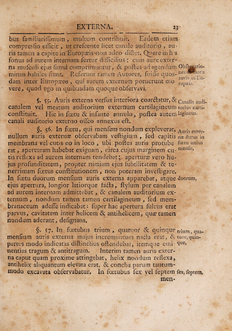 bus familiariffimum, multum contribuit. Eadem etiam compresfio efficit, ut crefcente licet canale auditorio , au¬ ris tamen a capite in'Europaeis mon adeo differ. Quare inh s fonus ad aurem internam fertur difficili# : cum aure exter¬ na mulco li ejus fimul comprimuntur, & polle a ad agendum Obfbgpo- minus habiles fiunt. Referunt tamen Autores, fui ne qilbs- Ges.(^lora dam inter Europaeos , qui aurem externam potuerunt mo r0 is< vere, quod ego m quibusdam quoque obfervavi. §. Auris externa verfus. interiora coardlatur, & Canalis audi- canalem vel meatum auditorium externum cartilagineum toffus carti- conftituit. Hic in fotu & infante annulo, poflea autem l%ineus. canali auditorio externo offea annexus efh §♦ 56. In foetu, qui menfem nondum expleverat. Auris exter- nullum auris externae obfervabam veftigium , fed capitis nx flatus in membrana vel curis eo in loco , ubi poitea auris procube fetu unius rat, aperturam habebat exiguam > circa cujus marginem cu- menil5> tisreflexa ad aurem internam tendebat;, aperturae vero hu¬ jus profunditatem, propter nimiam ejus fubtilitatem & te* nerrimam fotus conffitutionem, non poteram inveftigare. In fotu duorum menfium auris externa apparebat, atque duorum, ejus apertura, longior latiorque fadla, fxylurn per canalem ad aurem internam admittebat> & canalem auditorium ex¬ ternum , nondum tamen tamen cartilagineum , fed mem¬ branaceum adeffe indicabat: fuper hac apertura fultus erat parvus, cavitatem inter helicem & antihelicem, quae tamen nondum aderant, deflgnans. §. f7« In fotubus trium., quartior & quinque tr-uni) qua- menfium auris externa majus incrementum na dia erat, & tuor, quin- partes modo indicatas difimdtius offendebat, itemque erni- <lue? nentias tragum & antitragum. Interim tamen auris exter¬ na caput quam proxime attingebat, helix nondum reflexa, antihelix aliquantum elevata erat, & concha parum tantum¬ modo excavata obfervabatur* Ia fotubus fex vel feptem fex, feptem, mea-