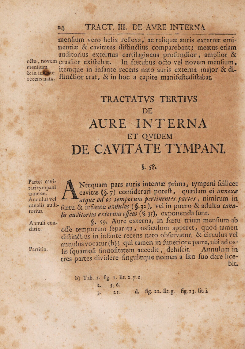 mendum vero helix reflexa, ac reliquae auris externa: emi- nentiae & cavitates diftinflius comparebant,: meatus etiam auditorius externus cartilagineus profundior, amplior & oflco,novemcrasfior exiftebat. In fecubus ocio vel novem mendum, Suifinifcte itemque in infante recens nato auris externa major Sc di¬ scens nato, ftin$ior erat, & in hoc a capite manifeftediftabat. TRACTATVS TERTIVS DE AURE INTERNA ET QVIDEM DE CAVITATE TYMPANI. Partes cavi¬ tati tympani annexae. Annuitis vei canalis audi¬ torius. Annuli con¬ ditio. Partitio. 5. $?. ANtcquara pars auris interna prima, tympani fcilicet cavitas (§.7) confiderari poteft, quaedain ei annexa atque ad os temporum pertinentes partes , nimirum in fretu & infante annulus (§.31}, vel in puero & adulto cana¬ lis auditorius externus ojfeus (§. 3?), exponenda funt. §, 99. Aure externa, in fcetu trium mentium ab ofle temporum feparata, osficulum apparet, quod tamen diftinftius in infante recens nato obfervatur, & circulus vel annuius vocatur (b); qui tamen in fuperiore parte,ubi ados- fis fquamofi finuofitatem accedit, dehifcit. Annulum in tres partes dividere fingulxque nomen a litu fuo dare lice¬ bit.