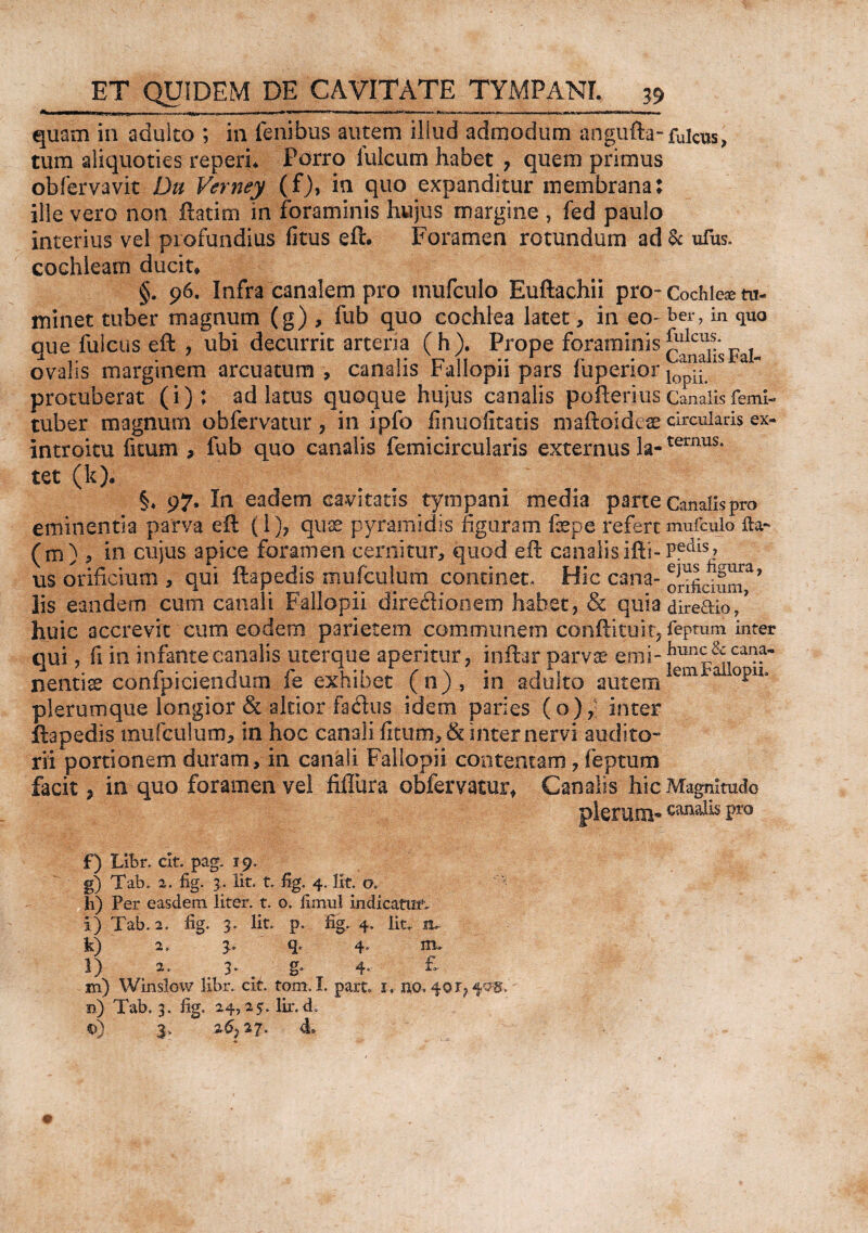 quam in adulco ; in fenibus autem illud admodum angufta-fuicus, tum aliquoties reperi* Pdrro Iuleum habet 7 quem primus obfervavit Du Verney (f), in quo expanditur membrana: ille vero non ftatim in foraminis hujus margine , fed paulo interius vel profundius fitus eft# Foramen rotundum ad & ufus. cochleam ducit» §. 96. Infra canalem pro mufculo Euftaehii pro- Cochlese m- minet tuber magnum (g) , fub quo cochlea latet, in eo- ber, in quo que fulcus eft , ubi decurrit arteria (h). Prope foraminis ^^'sFaj ovalis marginem arcuatum , canalis Fallopii pars fuperior lo^ protuberat (i): ad latus quoque hujus canalis pofterius Canalis femi- tuber magnum obfervatur, in ipfo finuolitatis maftoideae circularis ex- introitu ficum , fub quo canalis femicircularis externus la-ternus* tet (k). §♦ 97. In eadem cavitatis tympani media parte Canalis pro eminentia parva eft (1), quae pyramidis figuram fepe refert mufculo fta- (m) , in cujus apice foramen cernitur, quod eft canalisifti- iis orificium , qui ftapedis mufculum continet. Hic cana- o^LiunT* lis eandem cum canali Fallopii directionem habet, & quia direaio/ huic accrevit cum eodem parietem communem conftituit, feptum inter qui, fi in infante canalis uterque aperitur, inftar parvae emi - ^nc & cana- nentise confpiciendum fe exhibet (n), in adulto autemIemr plerumque longior & akior fa<ftus idem paries (o ) ? inter ftapedis mufculum, in hoc canali ficum, & inter nervi audito- rii portionem duram, in canali Fallopii contentam , feptum facit, in quo foramen vel fiffura obfervatur* Canalis hic Magnitudo plerum-Pro f) Libr. clt. pag. 19. g) Tab. 2. fig. 3.. Iit. t. fig. 4. fit. o.- h) Per easdem liter, t. o. fimul indicatiat lit. p. fig- 4- lio tu £ 2) Tab. 2. iig. 3. k) 2, 3» fb 4* l) 2. 3. ^ g. 4- m) Winslow libr. cit. tom.I. part» 1» no. 40 r? yj&J n) Tab. 3. fig. 24,25. lir.d. o) 3. 2^27. &