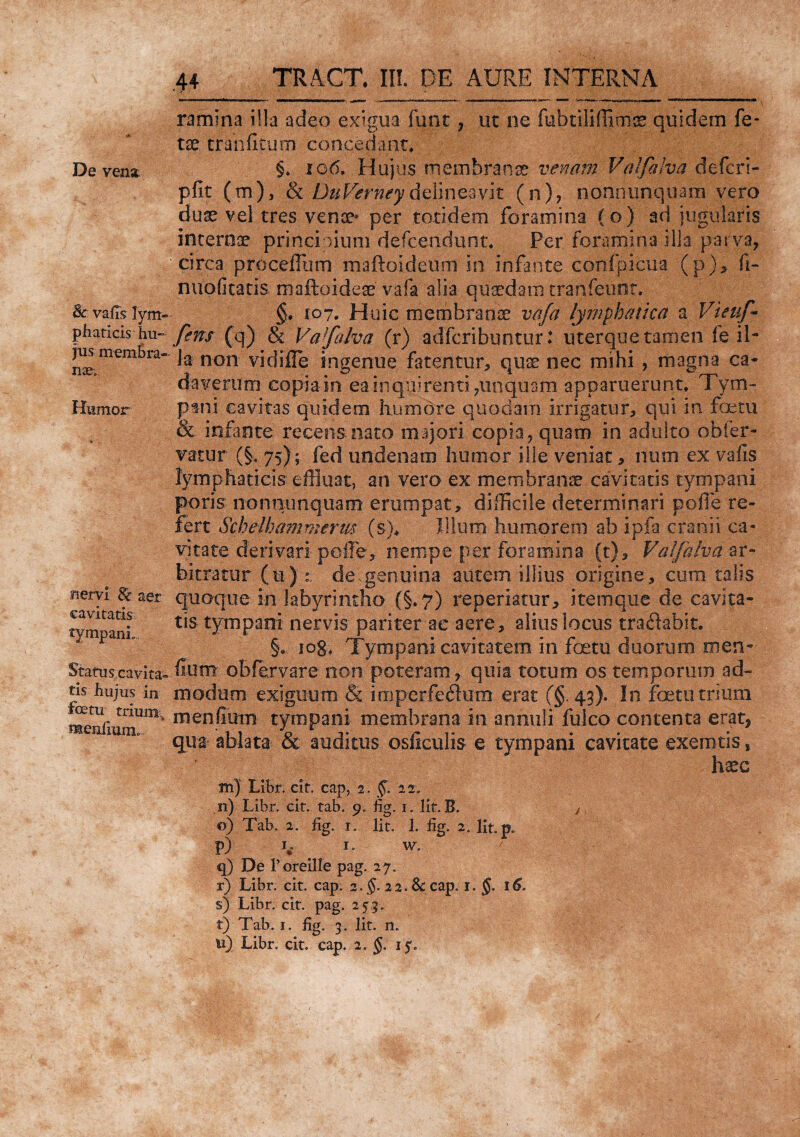 De vena 8c. vafls lym¬ phaticis hu¬ jus membra¬ nas; Humor nervi Sc aer cavitatis tympani.. Status cavita¬ tis hujus in fcetu trium, menilum. ,44 TRACT. II!. DE AURE INTERNA ramina illa adeo exigua funt, ut ne fubtiliffimiB quidem fe¬ tae crahfitum concedant, §, 106. Hujus membrana venam Valfalva defcri- pfit (m), & DuVtrneydelineavit (n), nonminquam vero dux vel tres vente* per totidem foramina (o) ad jugularis internae principium defcendunt, Per foramina ilia parva, circa proceffum maftoideum in infante confpicua (p)> fi- nuofitatis maftoideae vafa alia quaedam tranfeunt. §. ro7. Huic membrana vafa lymphatica a Vieuf- [ens (q) & Va[alva (r) adfcribuntur: uterque tamen fe il¬ la non vidiUe ingenue fatentur, quae nec mihi , magna ca¬ daverum copia in ea inquirenti,unquam apparuerunt. Tym¬ pani cavitas quidem humore quodam irrigatur, qui in foetu & infante recens nato majori copia, quam in adulto obfer- vatur (§, 75) ; fed undenarn humor ille veniat, num ex vafls lymphaticis effluat» an vero ex membranis cavitatis tympani poris- nonnimquam erumpat, difficile determinari poffe re¬ fert Schelha?nmerm (s), Illum humorem ab ipfa cranii ca¬ vitate derivari ■poffe, nempe per foramina (t), Valfalva zt- hietatur (u) : de,genuina autem illius origine, cura talis quoque in labyrintho (§.7) reperiatur, itemque de cavita¬ tis tympani nervis pariter ae aere, alius locus traftabit. §. jog. Tympani cavitatem in foetu duorum men- .fiutn obfervare non poteram, quia totum os temporum ad¬ modum exiguum & imperferum erat (§. 43). In foetu trium menfium tympani membrana in an nui i fulco contenta erat, qua ablata & auditus osficulis e tympani cavitate exemtis s haec m) Libr. cit. cap, 2. §. %?. n) Libr. cit. tab. 9. fig. 1. Iit. B. / , o) Tab. 2. fig. 1. Iit. 1. fig. 2. Iit. P) h J- w. q) De 1’ oreille pag. 27. r) Libr. cit. cap. 2. $.22. & cap. r. $. 16. s) Libr. cit. pag. 255. t) Tab. 1. fig. 3. Iit. n.