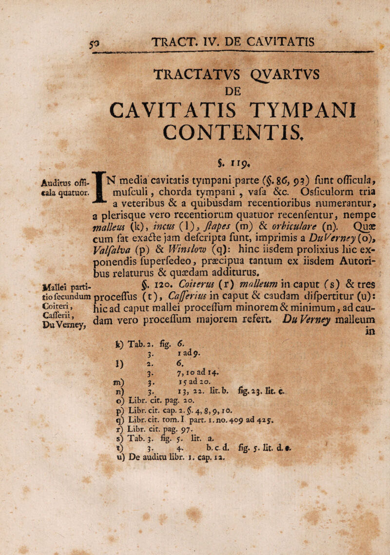 Auditus ofii- cala quatuor. Mallei parti¬ tio fecundum Coiteri, Calleri i, DuVemey, TRACT. IV. DE CAVITATIS TRACTATVS QVARTVS DE CAVITATIS TYMPANI CONTENTIS. s. 119« IN media cavitatis tympani parte (§. 86, 95) funt oflicula, mufculi, chorda tympani ? vafa &c. Qsficuiorm tria a veteribus & a quibusdam recenti oribus numerantur, a plerisque vero recentiorum quatuor recenfentur, nempe mallem (k), incus (1), flapes (m) & orbiculare (n). Quae cum fat exa&e jam defcripta funt, imprimis a DuVerney{o), Valfalva (p) & Wimlow (q): hinc iisdem prolixius hic ex¬ ponendis fuperfedeo, praecipua tantum ex iisdem Amori¬ bus relaturus & quaedam additurus. 120. Coit erus (r) malleum in caput (s) & tres proceflus (t), Ca/ferius in caput & caudam difpertitur (u): hic ad caput mallei pr ocellum minorem & minimum, ad cau¬ dam vero procefliim majorem refert. Du Verney malleum in k) Tab. 2. fig. 6. 3. iadp. 1) a. 6. 3. 7,10 ad 14. m) 9. 15 ad 20. n) 3. 13,22. lit.b. fig, 23. Iit» e, o) Libr. cit. pag. 20. p) Libr. cit. cap. 2. §. 4, g, 9,1 o. q) Libr. cit. tom. I part. 1. no. 409 ad 425. r) Libr. cit. pag. 97. s) Tab. 3. fig. 5. Iit. a. t) 3. 4* b.c.d, fig. 5. Iit. d. t» u) De auditu libr. 1. eap. 12.