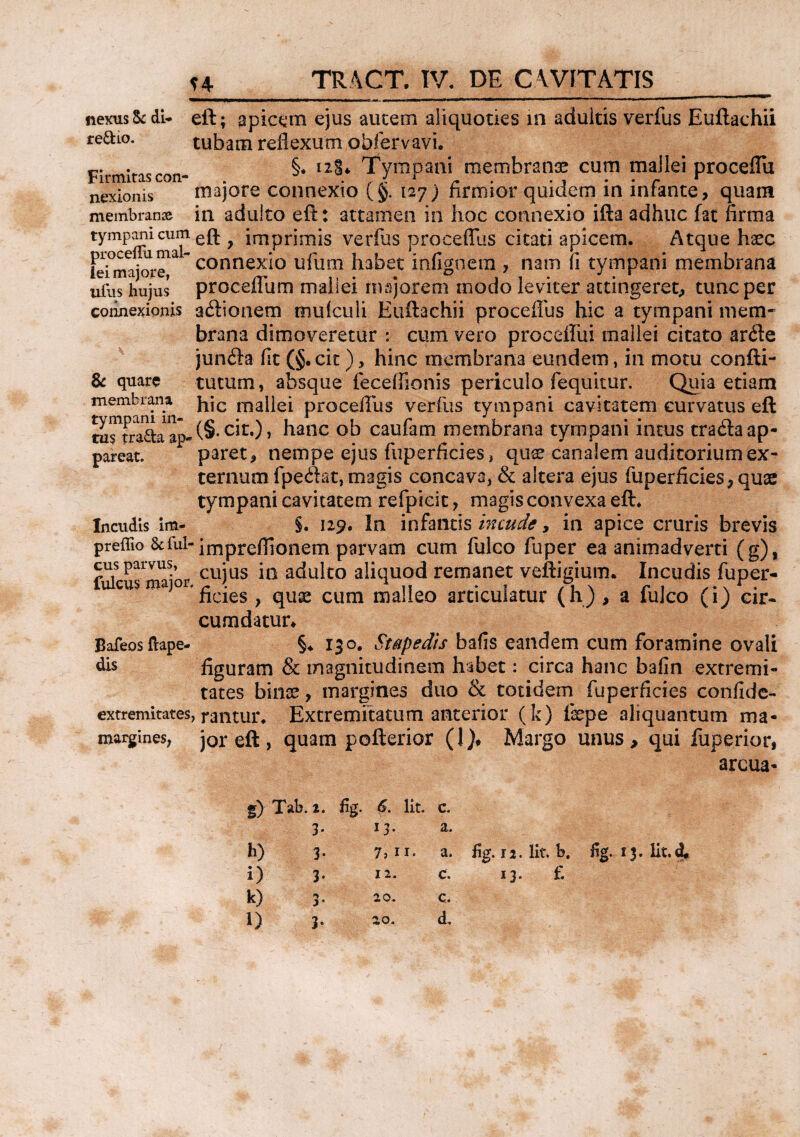 u nexus & di- eft; apicam ejus autem aliquoties in adultis verfus Euftachii redio. tubam reflexum obfervavi. Firmitascon- §* Tympani membranae cum mallei proceflu nexionis majore connexio (§. 127) firmior quidem in infante, quam membran» in adulto eft: attamen in hoc connexio ifta adhuc fat firma tympanicum ? imprimis verfus proceflus citati apicem. Atque haec connexio ufum habet infigoera , nam fi tympani membrana ullis hujus proceilum maiiei majorem modo leviter attingeret, tunc per connexionis adionem muiculi Euftachii proceflus hic a tympani mem¬ brana dimoveretur : cum vero proceftui maiiei citato arde junda fit (§. cit), hinc membrana eundem, in motu confti- & quare tutum, absque feceffionis periculo (equitur. Quia etiam membrana hjc mallei proceflus verfus tympani cavitatem curvatus eft tym^aa1^a11^ (§. cir.), hanc ob c au fiam membrana tympani intus trada ap¬ tus pareat. paret, nempe ejus fuperficies, quae canalem auditorium ex¬ ternum fpedat, magis concava, & altera ejus fiuperficies,quse tympani cavitatem refpicic, magis convexa eft. Incudis im- §. 129. In infantis incude, in apice cruris brevis preffio &ful- impreflionem parvam cum fulco fuper ea animadverti (g), cus parvus, cujus ja adulco aliquod remanet veftigium. Incudis fuper- cusm '^cjes ^ qU;£ cum nialleo articulatur (h) , a fulco (i) cir¬ cumdatur* §♦ 130. Stapedis bafis eandem cum foramine ovali figuram & magnitudinem habet: circa hanc bafin extremi¬ tates binse, margines duo & totidem fuperficies confide- extremitates, rantur. Extremitatum anterior (k) fepe aliquantum ma- margines, jor eft, quam pofterior (1), Margo unus> qui fuperior, arcua- Bafeos flape dis g) Tab. i. fig. 6. Iit. c. 3. 13. a. h) 3. 7? 11« a» fig. 12. Iit. b. iig. 13. lit.d, i) 3* i2* c. 13* fi k) 3. 20. l) 3- 20. C. d.