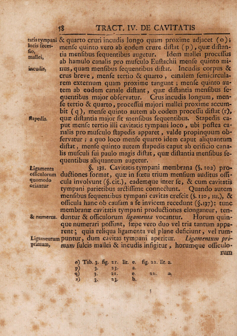 flQj mallei, iacudis. ffepedis. tatktympani & quarto cruri incudis longo quam proxime adjacet (o); Socis feces- menfe quinto vero ab eodem crure diftat (p), quas diftan¬ tia menfibus fequentibus augetur* Idem mallei procefius ab hamulo canalis pro mufcuio Euftachii menfe quinto mi¬ nus, quam menfibus fequentibus diftat. Incudis corpus & crus breve, menfe tertio & quarto , canalem femicircuia- rem externum quam proxime tangunt ; menfe quinto au¬ tem ab eodem canale diftaiit, quos diftantia menfibus.fe¬ quentibus major obfervatur. Crus incudis longum, men¬ fe tettio & quarto, proceffui majori mallei proxime accum¬ bit ( q ), menfe quinto autem ab eodem procella diftat (r), qux diftantia major fit menfibus fequentibus. Stapedis ca¬ put menfe tertio illi cavitatis tympani loco , ubi poftea ca¬ nalis pro mufcuio ftapedis apparet, valde propinquum ob¬ fervatur ; a quo loco menfe quarto idem caput aliquantum diftat, menfe quinto autem ftapedis caput ab orificio cana¬ lis mufculi fui paulo magis diftat, quae diftantia menfibus fe¬ quentibus aliquantum augetur. Hgmentz §• iJB» Cavitatis tympani membrana (§♦ 102) pro* oflicuionim duftiones format, qax in foetu trium menfium auditus offi- quomodo cu]a involvunt (§.cit.)> eademque inter fe, & cum cavitatis ©namur tympani parietibus ardiiflime conne<ftunt* Quando autem menfibus fequentibus tympani cavitas crefcit (§. 110, m*), & ofFicula hancob caufam a fe invicem recedunt (§4137) : tunc membranae cavitatis tympani produ<ftiones elongantur, ten- le ntimeras. duntur & ofiiculorum ligamenta vocantur. Horum quin¬ que numerari poffunt, fepe vero duo vel tria tantum appa¬ rent ; quia reliqua ligamenta vel plane deficiunt, vel rura- Ligamenmmpuntur, dum cavitas tympani aperitur. Ligamentum pri- friaram^ mum fulcis mallei & incudis infigitur, horumque officulo- rum ®) Tab. 3. fig. xr.. Iit. e. fig. 22. Ut. 2. P) 3* 2 3 a* q) 3. 21. e. 22. a. *) 3*