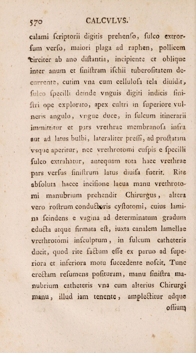 57° calami fcriptorii digitis prehenfo, fulco extror- fum verfo, maiori plaga ad raphen, pollicem tirciter ab ano diftantia, incipiente et oblique inter anum et finiftram ifchii tuberolitatem de¬ currente, cutim vna cum ceilulofa tela diuidif, fulco fpecilb deinde vnguis digiti indicis fini- ftri ope explorato, apex cultri m fuperiore vul¬ neris angulo, vngue duce, in Iuleum itinerarii immittitur et pirs vrethrae membranofa infra aut ad latus bulbi, lareraliter prefli, ad proflatam vsque aperitur, nec vrethrotomi cufpis e fpecilb fulco extrahatur, antequam tota haec vrethrae pars verfus linillrum latus diuila fuerit. Rite \ abfoluta hacce inciiione laeua manu vrethroto¬ mi manubrium prehendir Chirurgus, altera vero rollrum condu£l©ris cydotomi, cuius lami¬ na fcindens e vagina ad determinatum gradum edu&a atque firmata ed, iuxta canalem lamellae vrethrotomi infculptum, in fulcum catheteris ducit, quod rite facium e(Te ex paruo ad fupe- riora et inferiora motu fuccedente nofeit* Tunc erectam refumens polituram, manu dniflra ma¬ nubrium catheteris vna cum alterius Chirurgi \ / manu, illud iam tenente, ample&itur adque ofliun^