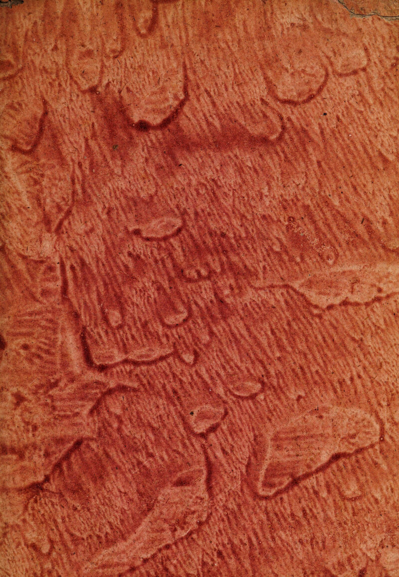 ' - 'V » ■ ■. ■.1 s* mh'Mrz}: *■ -&. '\ > hr Z S ^r-rx 'u:' & I /s V.v-' vip