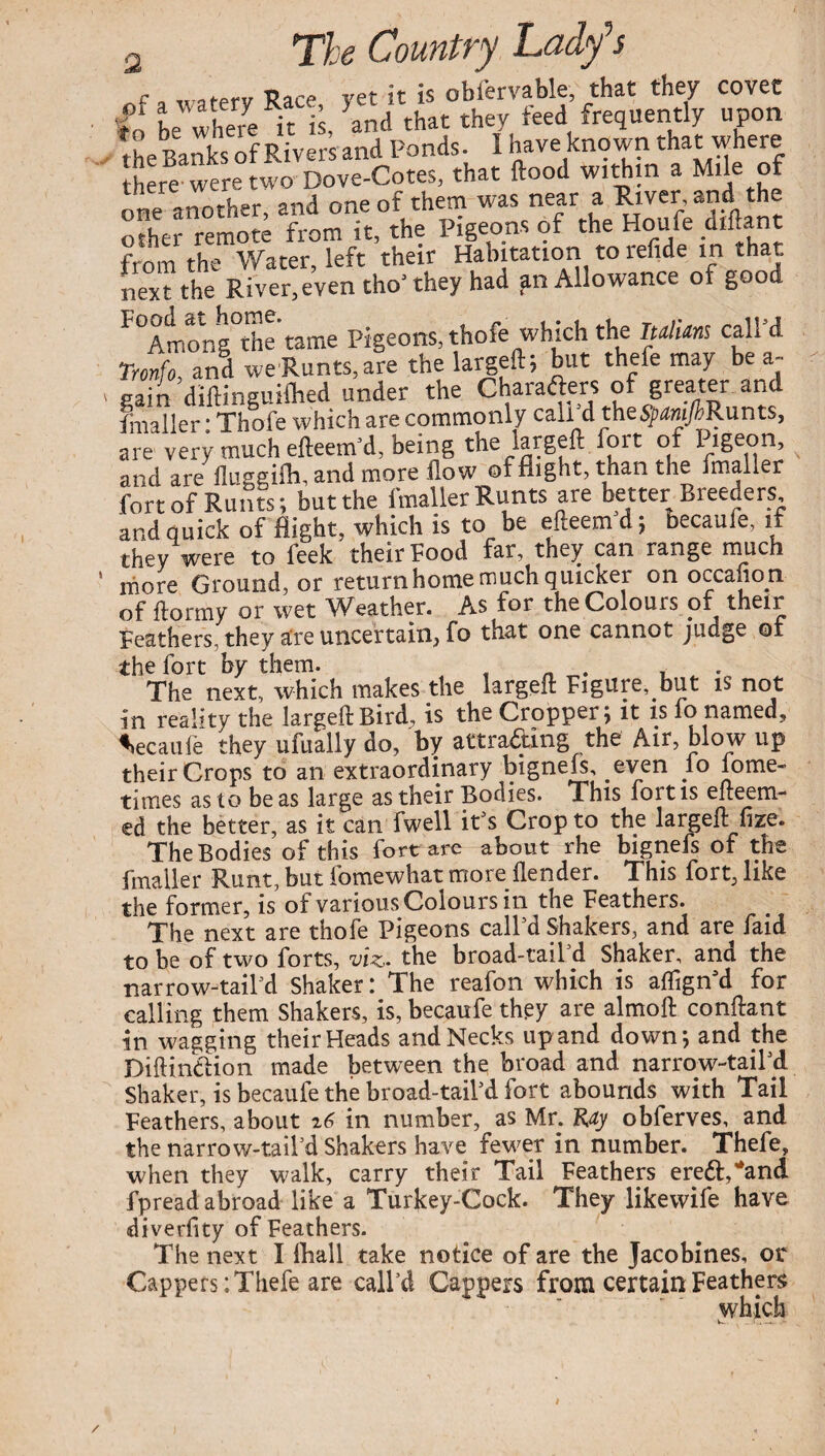 2 f □ ix stew Race yet it is obiervable, that they covet il t wheie it is. and that they feed frequently upon the Banks of Rivers and Ponds. I have known that where there were two Dove-Cotes, that flood within a Mile of one another, and one of them was near a River and the other remote from it, the Pigeons of the Houfe diftant from the Water, left their Habitation to refide in that next the River,even cho' they had an Allowance of good 1 °Among°the’tame Pigeons, thofe which the Halims call'd Tronfo and we Runts, are the largeft; but thefe may be a- > pain diftinguifhed under the Charafters of greater and fmaller: Thofe which are commonly call d the^m/jRunts, are very much efteem'd, being the largeft fort of Pigeon, and are fluggifh, and more flow of flight, than the fmaller fort of Runts; but the fmaller Runts are better Breeders and quick of flight, which is to be efteem d; becaufe, if they were to feek their Food far, they can range much ‘ more Ground, or return home much quicker on occafion of ftormy or wet Weather. As for the Colours of their Feathers, they are uncertain, fo that one cannot judge of the fort by them. , „ . , . The next, which makes the largeft Figure, but is not in reality the largeft Bird, is the Cropper; it is lo named, Vcaufe they ufually do, by attra&ing the Air, blow up their Crops to an extraordinary bignefs, even _lo lome- times as to be as large as their Bodies. 1 his fort is efteem- ed the better, as it can fwell it’s Crop to the largeft fize. The Bodies of this fort are about rhe bignefs of the fmaller Runt, but fomewhat more {lender. This fort, like the former, is of various Colours in the Feathers. The next are thofe Pigeons call’d Shakers, and are faid to be of two forts, viz. the broad-tail d Shaker, ana the narrow-tail’d Shaker: The reafon which is aflign’d for calling them Shakers, is, becaufe they are almoft conftant in wagging their Heads and Necks up and down; and the DiftindUon made between the broad and narrow-tailed Shaker, is becaufe the broad-tail’d fort abounds with Tail Feathers, about z6 in number, as Mr. R^y obferves, and the narrow-tail’d Shakers have fewer in number. Thefe, when they walk, carry their Tail Feathers erett,#and fpread abroad like a Turkey-Cock. They likewife have diverfity of Feathers. The next I ftiall take notice of are the Jacobines, or Cappers: Thefe are call’d Cappers from certain Feathers which /