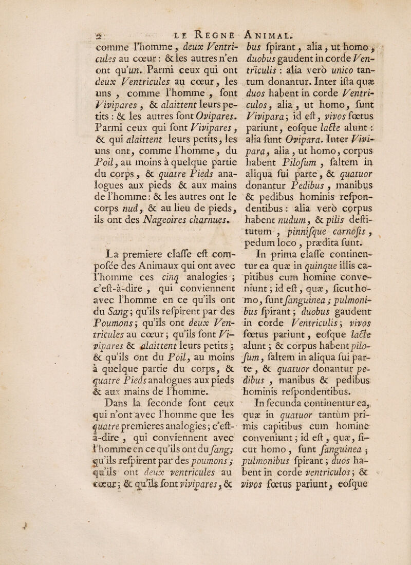 comme ITiomme y deux Ventri- bus fpirant y alia y ut homo * cules au cœur : & les autres n’en duobus gaudent in corde Ven- ont qu’un. Parmi ceux qui ont trïculis : alia vero unico tan- deux Ventricules au coeur > les tum donantur. Inter ifta quae uns y comme l’homme y font duos habent in corde Ventri- Vivipares y & alaittent leurs pe- culos y alia y ut homo^ finit tits : & les autres font Ovipares» Vivipara ; id eft> vivos fœtus Parmi ceux qui font Vivipares y pariunt, eofque la£le alunt : & qui alaittent leurs petits y les alia funt Ovipara. Inter Vivi- uns ont^ comme l’homme, du para y alia, ut homo y corpus Poil y au moins à quelque partie habent Pilofum y faltem in du corps y & quatre Pieds ana- aliqua fui parte y & quatuor logues aux pieds ôc aux mains donantur Pedibus y manibus de l’homme : & les autres ont le & pedibus hominis refpon- corps nudr & au lieu de pieds y dentibus : alia vero corpus ils ont des Nageoires charnues. habent nudum y & pilis defti- tutum ^ pinnifque carnofis y pedum loco y prædita funt. La première clafle eft com- In prima clafle continen- pofée des Animaux qui ont avec tur ea quæ in quinque illis ca- l'homme ces cinq analogies ; pitibus cum homine conve- e’eft-à-dire , qui conviennent niunt ; id eft y quæ y lient lie- avec fhomme en ce quils ont moy funtfanguinea ; pulmoni- du Sang; quils refpirent par des bus fpirant ; duobus gaudent Poumons y qu’ils ont deux Ven- in corde Ventriculis ; vivos triades au cœur ; qu’ils font Vi- fœtus pariunt y eofque lacie vipares & alaittent leurs petits ; alunt ; & corpus habentpi/u- & quils ont du Poil y au moins fumy faltem in aliqua fui par- à quelque partie du corps y & te y & quatuor donxntux pe- quatre Pieds analogues aux pieds dibus y manibus & pedibus & aux mains de l’homme.. hominis refpondentibus. Dans la fécondé font ceux Infecunda continenturear qui n’ont avec l'homme que les quæ in quatuor tantum pri- quatre premières analogies; c’eft- mis capitibus cum homine S-dîre y qui conviennent avec conveniunt ; id eft y quxy 11- Fhomme en ce qu’ils ont du fangs eut homo y funt fanguinea -, gu’ils refpirent par des poumons y pulmonibus fpirant; duos ha- qu’ils ont deux ventricules au bentin corde ventriculos ; & c.œur';& qyuk font viviparesvives fœtus pariunt^ eofque