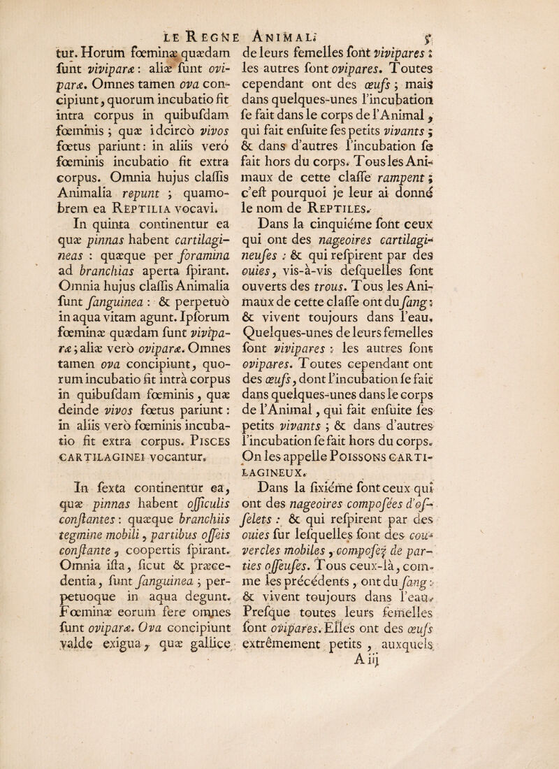 leRegkie ÂNIMAU f. tur. Horum foeminæ quædam de leurs femelles font vivipares t funt vivipare : aliæ funt ovi- les autres font ovipares. Toutes para. Omnes tamen ova con- cependant ont des œufs ; mais cipiunt, quorum incubatio fit dans quelques-unes rincubation intra corpus in quibufdam fe fait dans le corps de l’Animal $ fœminis ; quæ idcirco vivos qui fait enfuitefespetits vivants ; fœtus pariunt : in aliis vero & dans d’autres l’incubation fe fœminis incubatio fît extra fait hors du corps» Tous les Ani-» corpus. Omnia hujus clafîis maux de cette claffe rampent ; Animalia repunt ; quamo- c’eft pourquoi je leur ai donné brem ea Reptilia vocavh le nom de Reptiles» In quinta continentur ea Dans la cinquième foùt ceux quæ pinnas habent cartilagi- qui ont des nageoires cartilagi« neas : qüæque per foramina neufes & qui refpirent par des ad branchias aperta fpirant. ouies, vis-à-vis defquelles font Omnia hujus claffis Animalia ouverts des trous. Tous les Ani- funt fanguinea : & perpetuo maux de cette claffe ont dufang ; in aqua vitam agunt. Ipforum & vivent toujours dans l’eau* foeminæ quædam funt vivîpa- Quelques-unes de leurs femelles ra ; aliæ ver 6 ovipara. Omnes font vivipares les autres font tamen ova concipiunt > quo- ovipares. Toutes cependant ont rum incubatio fît intrà corpus des œufs y dont l’incubation fe fait in quibufdam fœminis > quæ dans quelques-unes dans le corps deinde vivos fœtus pariunt : de l’Animal, qui fait enfuite lès in aliis vero fœminis incuba- petits vivants ; & dans d’autres tio fît extra corpus. Pisces l’incubation fe fait hors du corps» cartilaginei vocantur* On les appelle Poissons CARTI¬ LAGINEUX*- In fexta contînentùr ea> Dans la fixiémé font ceux qui quæ pinnas habent ojficulis ont des nageoires compofées d’ofi* confiantes : quæque branchiis felets : & qui refpirent par des tegmine mobili ? partibus ojfeis ouies fur lefquelles font des cou* confiante 0 coopertis fpirant. ver des mobiles ycompofef de par- Omnia ifta, ficut & præce- lies offeufes. Tous ceux-là 5 coin- dentia > funt fanguinea ; per- me les précédents ? ont du fang v petuoque in aqua degunt. & vivent toujours dans l’eau* Fœminæ eorum fere om;ies Prefque toutes leurs femelles funt ovipara,, Ova concipiunt font ofriparesÆïies ont des œufs