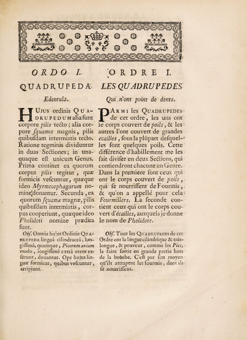 QUADRUPED A LES QUADRUPEDES Edentula9 Qui .nom point de dents* HUjus ordinis Qua- TVArmi les Quadrupedes- DRUPEDUMaliafunt j[ de cet ordre, les uns ont corpore pilis tedto ; alia cor- le corps couvert de poils, & les * pore fquamis magnis , pilis autres Font couvert de grandes - quibufdam intermixtis tedo. écailles , fous la plûpart defquel-' Ratione tegminis dividuntur les font quelques poils. Cette in duas ' Se&iones ; in una- différence d’habillement me les > quaque efi unicum Genus, fait divifer en deux Serions, qui Prima commet ea quorum contiendront chacune un Genre.* corpus pilis tegitur , quae Dans la première font ceux qui formicis vefcuntur, quæque ont le corps couvert de poils r ideo Myrmeccphagarum no- qui fe nourrilfent de Fourmis, * minendo nantur. Secunda, ea & qu’on a appellé pour cela* quorum fquamœ magnæ, pilis Fourmiliers. La fécondé con- quibufdam intermixtis , cor- tient ceux qui ont le corps cou- pus cooperiuntquæque ideo vert d3écailles, auxquels je donne Pholidoti nomine prædita le nom d&Pholidote. • font. Obf. Omnia hujus Ordinis Qua- Obf. Tous les Quadrupèdes de cet drupeda linguâ cilindraceâ, Ion- Ordre ont la langue cilindrique &c très- gihimâ, quamque , Ficorum avium longue , & peuvent 5 comme les Pics, ? modo j longifîimè extra orem'ex* la faire forcir en grande partie hors* fërunt, donantur. Ope hujus lin- de la boùehe. G’eft par fou moyen* guæ formicas, quibus vefcuntur, quils attrapent les fourmis $ dont ils arripiunt, - fé - nourrilfe nt, »