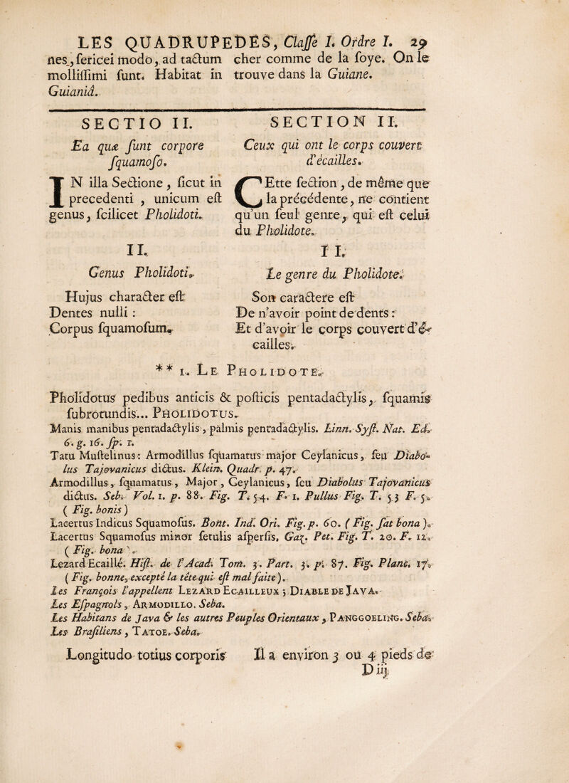 nés., feticei modo, ad ta£tum chef comme de la foye. On le molliffimi funt* Habitat in trouve dans la Guiane. Guianiâ. SECTIO IL Eu quœ funt corpore fquamofo» IN ilia Seétione , ficut in precedenti , unicum eft genus, fcilicet PholidotL IL Genus PholidotL Hujus charaéter eft Dentes nulli : Corpus fquamofum» SECTION IL Ceux qui ont le corps couvert d'écailles. CEtte feétion, de même que la précédente, ne contient qu un feul genre, qui eft celui du Pholidote* I L Le genre du Pholidote* Son caràétere eft De n avoir point de dents : Et d’avoir le corps couvert d5#*' cailles i ** î. Le Pholidotëv Pbolidotus pedibus anticis & pofticis pentadaétylis,, fquamîg fubrotundis... Pholidotus. Mank manibus pentadactylis -, pàlmis pentadaétylis. hinn. Syft. Nat. E<£- 6 . g, 16, fp, r. Tatu Muftelinus : Armodillus fqUamatus major Ceylanicus, feu Dtahti» lus Tajovanicus dictus. Klein, Quadr p. 47, Armodillus, fquamatus, Major, Geylanieus, feu Diabolus Tajovanicus diCtus. Sebi V0L1, p, 88. Fig, Ti54. F> 1. F ullus Fig, T. 53 F, 5* ( Fig, bonis ) Laeertus Indicus Squamofus. Botit, Tnd, Ori. Fig.p. 60. ( Fig, fat bona )0 Lacertus Squamofus minor fetalis afperfrs, Ga{, Pet. Fig. T. 10. F. iz ( Fig.' bona ' Lézard Ecaillé. Hifiz de L A cad. Toni. 3. Part. 3. p* 87. Fig. Pianti ij\ ( Fig. bonne? excepte la tête qui ejl mal faite),* Les François l'appellent Lézard Ecailleux > Diable de Java. Les Efpagrtols, Armodillo. Seba, Lis Habitans de Java & les autres Peuples Orientaux , PANGGOELiîtG. Seba-, Les Brajîliens , Tatoea Seba* Longitudo totius corporis' lia environ 3 ou 4 pieds de ~i§ •a' a