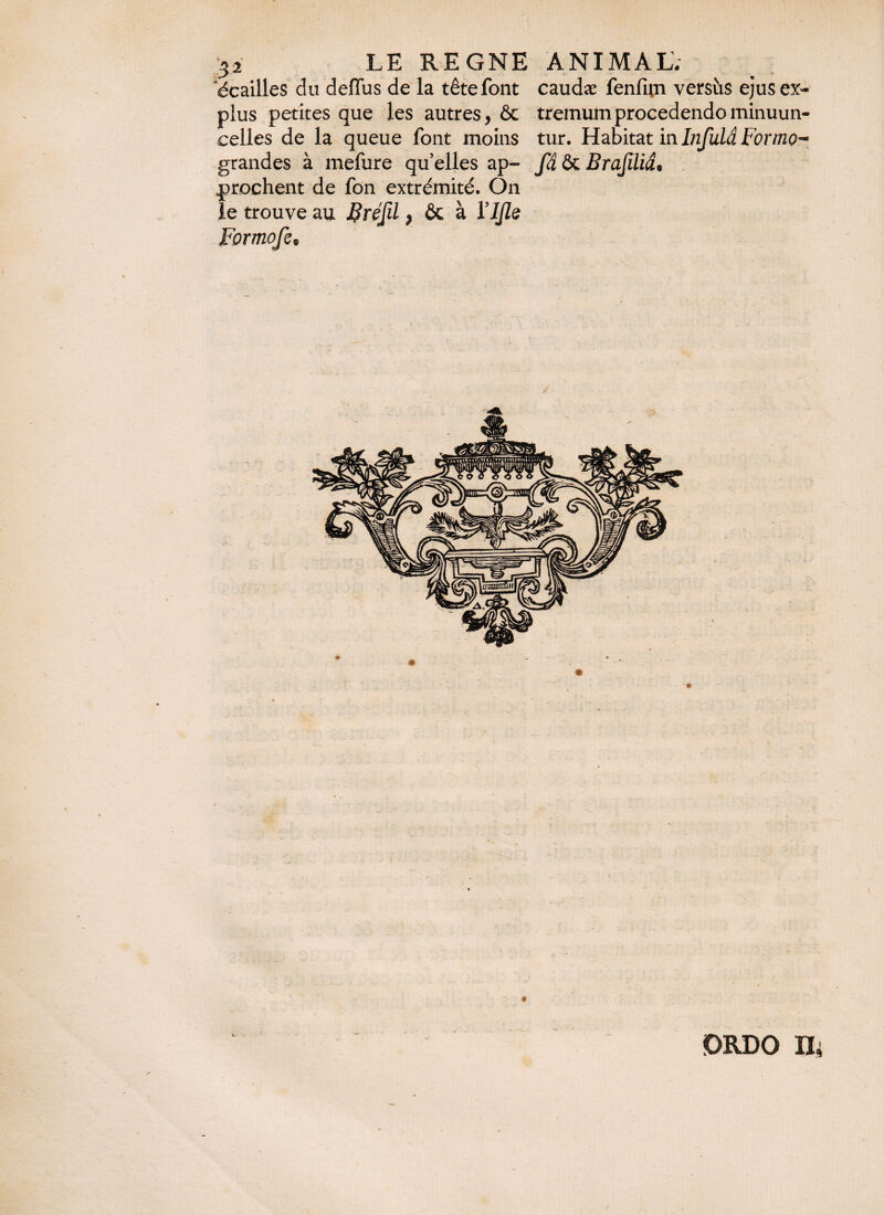 écailles du deffus de la tête font caudæ fenfim versus ejus ex¬ plus petites que les autres, & tremumprocedendominuun- celles de la queue font moins tur. HdfokatmlnfulâFormo* grandes à mefure qu’elles ap- fâ & Brafiliâ. prochent de fon extrémité. On le trouve au Bréfil, & à Vljle Formofe* ordo n