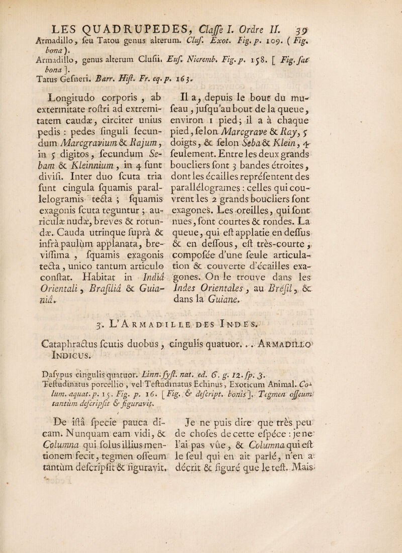 Armadillo-, feu Tatou genus alterum. Cluf, Exot. Fig, p, 109. ( Fig. berna ). Armadillo, genus alterum Ciufti» Euf, Nicrcmb, Fig, p, 15 8. [ Fig, fat bona ]. Tatus Gefneri. Barr, Hifl, Fr, eq, p. 163. Longitudo corporis > ab extermitate roftri ad extremi¬ tatem caudæ j circiter unius pedis : pedes fmguli fecun¬ dum Marcgravium & liajum, in 5 digitos, fecundum Se~ bam & Kleinnium ? in 4 funt divifi. Inter duo fcuta tria funt cingula fquamis paral- ielogramis teda ; fquamis exagonis fcuta teguntur ; au- riculæ nudæ, breves & rotun- dæ. Cauda utrinque fuprà & xnfrà paulum applanata* bre- viffima ^ fquamis exagonis teda , unico tantum articulo conflat. Habitat in India Orientali 5 Brafilid & Guia- nia* Il a, depuis le bout du mü«* feau , jufqu’aubout delà queue9 environ 1 pied; il a à chaque pied ^ félon Marcgrave & Ray, $ doigts, & félon Seba &c Klein, 4- feulement. Entre les deux grands boucliers font 3 bandes étroites 9 dont les écailles repréfentent des parallélogrames : celles qui cou¬ vrent les 2 grands boucliers font exagones. Les oreilles > qui font nues j font courtes & rondes. La queue, qui eft applatie en deffus & en deffous > eft très-courte r compofée d’une feule articula-* tion & couverte d’écailles exa¬ gones. On le trouve dans les Indes Orientales, au Bréfil 3 6c dans la Guiane* 3. L’A RHABILLE DES I N-D E S. Cataphradus feutis duobus ; cingulis quatuor... Armadillcv Indicus. Dafy pus cingulis quatuor. Linn.fyfi. nat. ed. €.g, 12, fp. 3, Teftüdinattis porcellio , vel Teftudmatus Echinus, Exoticum Animal. Co± lum, aqaat.p, 15. Fig. p. 16. [Fig. & dfeript. bonisTegmen oJJcunU tantum defcripft & figuravit. De iftâ fpecîe pauca di¬ cam. Nunquam eam vidi, & Columna qui folus illius men¬ tionem fecit j tegmen ofieum tantum defcripfit & figuravit» Je ne puis dire’ que très peu de chofes de cette efpéce: je ne- l’ai pas vûe^ & Columna qui eft le feul qui en ait parlé ? n’en ai décrit & figuré que leteft, Mais>