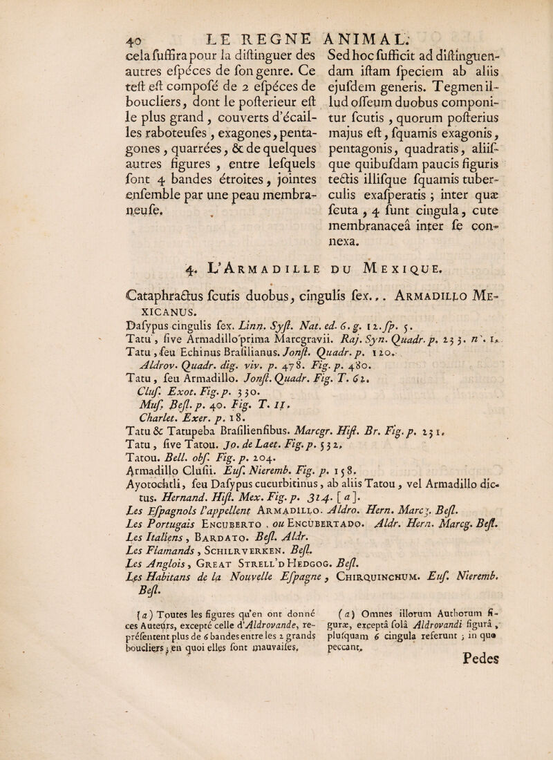 Sedhocfufficit ad diftingtien- dam iftam fpeciem ab aiiis ejufdem generis. Tegmen il¬ lud olfeum duobus componi¬ tur fcutis , quorum pofterius majus eft, fquamis exagonis, pentagonis y quadratis, aliifi que quibufdam paucis figuris te£tis illifque fquamis tuber¬ culis exafperatis ; inter quæ feuta , 4 funt cingula, cute membranacea inter fe con¬ nexa. 4. L'Arm ad ille du Mexique. \ * • . .. • „ ... > >s - - t * CataphraQus fcutis duobus, cingulis fex. ,. Armadillo Me- xicanus. Dafypus cingulis fëx, Linn. Syjl. Nat. ed. 6. g. li.jp. 5. Tatu > live Armadillo prima Marcgravii. Raj.Syn. Quadr. p. 233. n\ 1,« Tatu ,feu Echinus Bralilianus. Jonjl. Quadr. p. uov. Aldrov. Quadr. dig. viv, p. 478. Fig. p. 480. Tatu, feu Armadillo. Jonjl. Quadr. Fig. T. 61, Cluf. Exot. Fig. p. 330. Muf Bejl. p. 40. Fig. T. II, Charlct. Exer. pe 18. TatuÔc Tatupeba Brafilienfibus. Marcgr. Hijt. Br. Fig. p. 25i. Tam, five Tatou. Jp. de Laet. Fig.p. 532/ Tatou. Bell. obf. Fig.p. 204. 4tmadillp Clufii. Euf. Nieremb. Fig. p. 15 8, Ayotociitli, feu Dafypus cucurbitinus, ab aliis Tatou, vel Armadillo dic¬ tus. Hernand. Hiji. Mex. Fig. p. 3l4* [ a ]• Les Efpagnols F appellent Armadillo. Aldro. Hern. Marcj. Bejl. Les Portugais Encuberto , ou Encubertado. Aldr. Hern. Marcg. Bejl. Les Italiens , Bardato. Bejl. Aldr. Les Flamands , Schilrverken. Bejl. Les Anglois, Great Strell’d EIedgog. Bejl. Les Habitans de la Nouvelle Efpagne , Chirquinchum. Euf. Nieremb. Bejl. cela fuffira pour la diftinguer des autres efpéces de fon genre. Ce tell eft compofé de 2 efpéces de boucliers, dont le pofterieur eft le plus grand , couverts d’écail- les raboteufes , exagones, penta¬ gones , quarrées, & de quelques autres figures , entre lefquels font 4 bandes étroites, jointes enfemble par une peau membra- neufe. {a) Toutes les figures quen ont donné ces Auteurs, excepté celle à'Aldr ovande, re- prélèntent plus de 6 bandes entre les 1 grands boucliers ^ jeu quoi elles font mauvaifes. (a) Omnes illorum Autborum fi¬ guras, excepta folâ Aldrovandi figura * plufquam 6 cingula referunt 3 in qu® peccant. Pedes