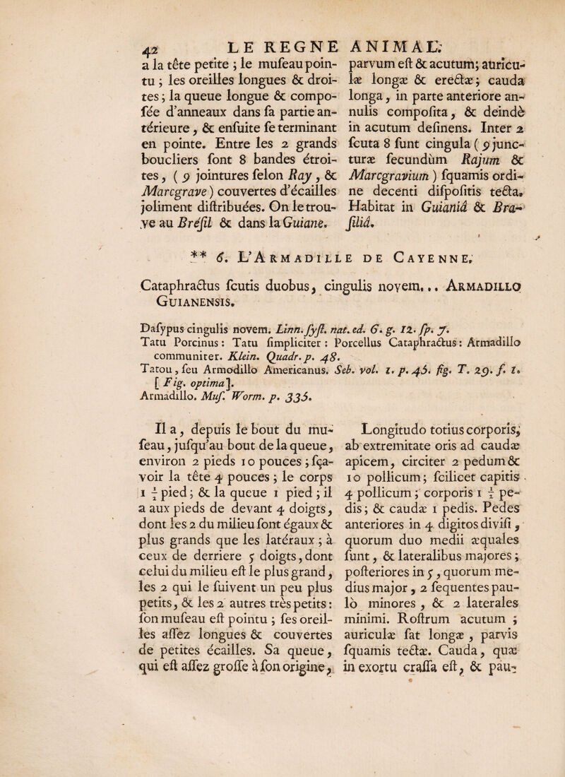 a la tête petite ; le mufeau poin¬ tu ; les oreilles longues ôc droi¬ tes ; la queue longue & compo- fée d’anneaux dans fa partie an¬ térieure , Ôc enfuite fe terminant en pointe. Entre les 2 grands boucliers font 8 bandes étroi¬ tes , ( 9 jointures félon Ray, ôc Marcgrave ) couvertes d’écailles joliment diftribuées. On le trou¬ ve au Brésil ôc dans la Guiam. 3arvum eft & acutum; auricu- .æ longæ ôc eredæ; cauda longa , in parte anteriore an- nulis compofita, ôc deindè in acutum definens* Inter 2 fcuta 8 funt cingula ( 9 junc- turæ fecundùm Rajum & Marcgravium ) fquamis ordi¬ ne decenti difpofitis teâa* Habitat in Guianiâ ôc Z?ra- Jiïiâ* _** <?. L’Armadhle de Cayenne, Cataphraflus fcutis duobus* cingulis noyem. •* àrmadillq Guianensis. Dafypus cingulis novem. Linn.fyfl. nat^ed* 6\ g. il* fp. y. Tatii Porcinus: Tatu (impliciter : Porcellus Cataphradus: Ârmadillo communiter. Klein. Quadr.p, 48' Tatou, feu Armodillo Americanus. Seb« voL 1* p. 46* fig T. 29» f £» [ Fi§* optima\. Armadillo» Muf. Worm. p. 335» Il a , depuis le bout du mu- feau, jufqu’au bout de la queue , environ 2 pieds 1 o pouces ; fça- voir la tête 4 pouces ; le corps 1 f pied ; ôc la queue 1 pied ; il a aux pieds de devant 4 doigts, dont les 2 du milieu font égaux Ôc plus grands que les latéraux ; à ceux de derrière 5 doigts, dont celui du milieu eft le plus grand, les 2 qui le fuivent un peu plus petits y ôc les 2 autres très petits : fon mufeau eft pointu ; fes oreil¬ les allez longues ôc couvertes de petites écailles. Sa queue y qui eft allez greffe à fon origine * Longitudo totius corpori^ ab extremitate oris ad caudæ apicem , circiter 2 pedum ÔC 1 o pollicum ; fcilicet capitis * 4 pollicum ; corporis 1 i pe¬ dis; ôc caudæ 1 pedis. Pedes anteriores in 4 digitos divifi 9 quorum duo medii æquales funt y ôc lateralibus majores ; pofteriores in y , quorum me¬ dius major , 2 fequentes pau¬ lo minores , & 2 laterales minimi. Roftrum acutum ; auriculæ fat longæ y parvis fquamis te£læ. Cauda, quæ in exortu craffa eft; ôc pau-