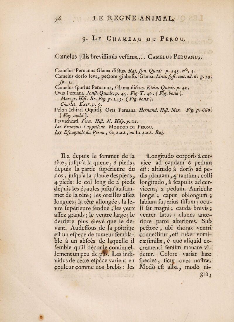 LEREGNE ANIMA R 3. Le Chameau du Pérou. ‘ f -T * ? • % 1 • , ' ;. ; Camélus pïlis brevilTiinis veHitus.,... Camelus Peruanus* Camelas Peruanus Glama diétus. Raj. fyn. Quadr. p. \45. /z°. 3. Camelas dorfo levÇ peftore gibbofo. Glama.. Linn.fyfl. nat. ed. 6. ^.29; fP• 3.- . , • # G Camelus fpurius Peruanus, Glama diélus. Klein. Quadr.p. 42, Ovis Lemana. Jonft. Quadr.p. 45. Fig. T. 46. ( Fig» bona }. Marcgr. Hifl. Br. Fig.p. 243. {Fig. bona). Charlet. Exer.p. 9. Pelon Ichiatl Oquitli. Ovis Peruana* Üernand. Hijl. Mex. Fig. p. 66®. ( ‘Fig . /ft/zAz ]. Pervichcad. Fern. Hifl. N. Hifp.p. u. Zaî François P appellent Mouton de Pérou. l4£ Efpagnolsdu Pérou, Glama 3 0« Lhama. Il a depuis le Commet de la iête^ jufqu’à la queue> 6 pieds; depuis la partie fupérieüre du dos, jufquà la plante des pieds «, 4 pieds : le col long de 2 pieds depuis les épaules jufqu au fom- met de la tête ; les oreilles allez |. >Jf V. t K. longues.; la têtp allongée ; la le- vre fupérieure fendue ;les yeux alfez grands; le ventre large; le derrière plus élevé que le de¬ vant. AudelTous de la poitrine eft un efpepe de tumeur fembla- ble à un abfcès de laquelle il femble qu’il découle continuel¬ lement un peu de pifs. Les indi¬ vidus de cette efpéce varient en couleur comme nos brebis ; les ■* ^ / , . - -• * * - r s*, rf Longitudo corporis à cer^ vice ad caudam 6 pedum eft : altitudp à dorfo ad pe¬ dis plantam ^4 tantum ; colli longitudo ^ à fcapulis ad cer¬ vicem^ a pedum. Auricube longœ ; caput oblongum ; labium fuperius fiffum ; ocu¬ li fat magni-; cauda brevis ; venter latus ; dunes ante- riore parte alteriores. Sub peélore , ubi thorax ventri conne&itur , eft tuber vomi- cæ fimilis, è quo aliquid ex¬ crementi fenfim manare vi¬ detur. Colore variat hæc fpecies > ficiÿ: oves noftræ. Modo eft alba3 modo nir êra I