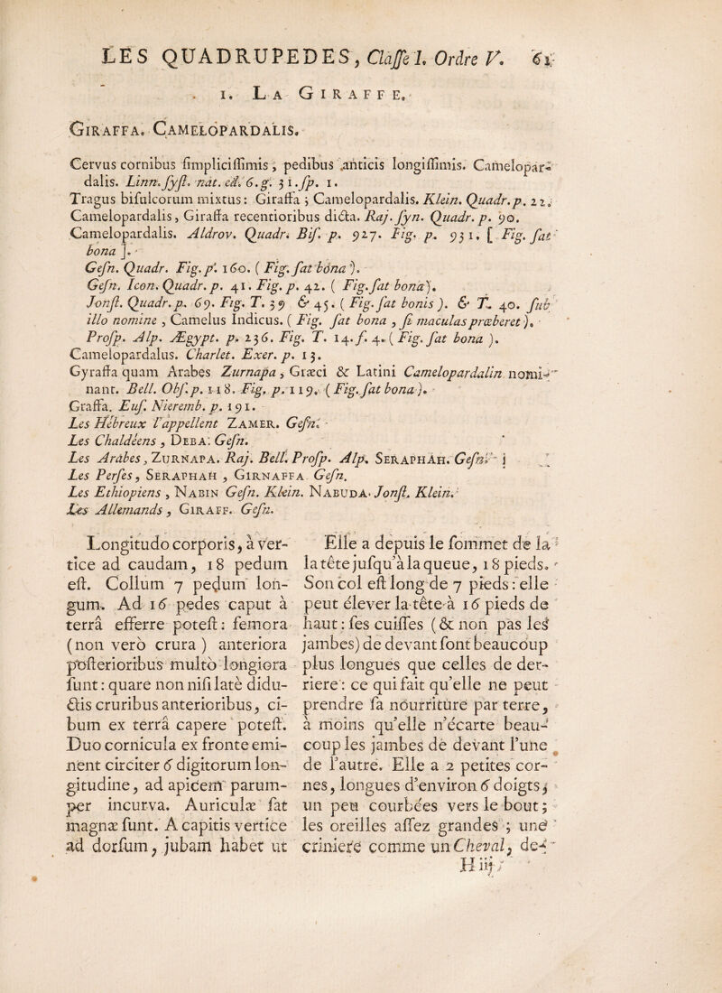 i. La G i r a f f e» * GirAFFAe Camelopardalis. Cervus cornibus fimplicilîimis, pedibus anticis longiffimis. Camdopar* dalis. Linn.fÿf. nat. ed.6.g\ $i.Jp. i. Tragus bifulcorum mixtus: Girafïa i Camelopardalis. Klein. Quadr.p. zz. Camelopardalis, Girafïa recentioribus diéta. Raj.fyn. Quadr.p. 5)0. Camelopardalis. Aldrov. Quadn B if p. 927. Fig. p. 951. [.Fig, fat ' bona J. * Gefn. Quadr. Fig. p\ 160. ( Fig', fat bôna ’). Gefn. Icon. Quadr. p. 41. Fig. p. 42. ( Fig. fat bona J. Jonft. Quadr.p-. 69. T. 39 6* 45. ( Fig. fat bonis). & fl 40. illo nomine , Camelus Indicus. ( Fig. fat bona , fi maculas prœberet)* Profp. Alp. Ægypt. p, 236. Fig. T. 14. f 4* [ Fig. fat bona ). Cameiopardalus. Charlet. Excr. p. 13. Gyrada quam Arabes Zurnapa, Græci & Latini Camelopardalin nomff'' nant. Bell. Obfp. h 8. Figf p. 119. ( Fig. fat bona )* *■ Graffa. Nieremb. p. 191. Les Hebreux rappellent Zamer. Gefn. - Les Chaldéens , Diba; Gefn. Les Arabes 3 Zurnapa. Raj. Bell. Profp. Alp. Seraphah. GefnL i Les Perfes, Seraphah , Girnaffa Q//2. Les Ethiopiens , Nabin Klein. Naeuda* J on fl. Klein.1 Les Allemands , Giraff. Longitudo corporis, à ver- Elle a depuis le fonîmet de la1 tîce ad caudam, 18 pedum la tête jufqu’à la queue, 18 pieds, eft. Collum 7 pedum Ion- Son col eft long de 7 pieds: elle gum. Ad 16 pedes caput à peut élever la-tête à 16 pieds de terra efferre poteft: femora haut : fes cuiffes (& non pas lei (non ver b crura) anteriora jambes) de devant font beaucoup ptrfterioribus multo longiora pius longues que celles de der- funt: quare nonnifilatè didu- riere : ce qui fait qffelle ne peut : élis cruribus anterioribus, ci- prendre fa nourriture par terre, bum ex terra capere poteff. à moins qffelle n’écarte beau- Duo cornicula ex fronte emi- coup les jambes dé devant l’une nent circiter 6 digitorum Ion- de l’autre. Elle a 2 petites cor- gitudine, ad apicem parum- nes, longues d’environ 6doigts j per incurva. Auriculæ fat un peu courbées vers le bout ; magnæ funt. A capitis vertice les oreilles affez grandes ; une? ad dorfum; jubam habet ut crinière comme un Cheval, dcff * Hiifr *