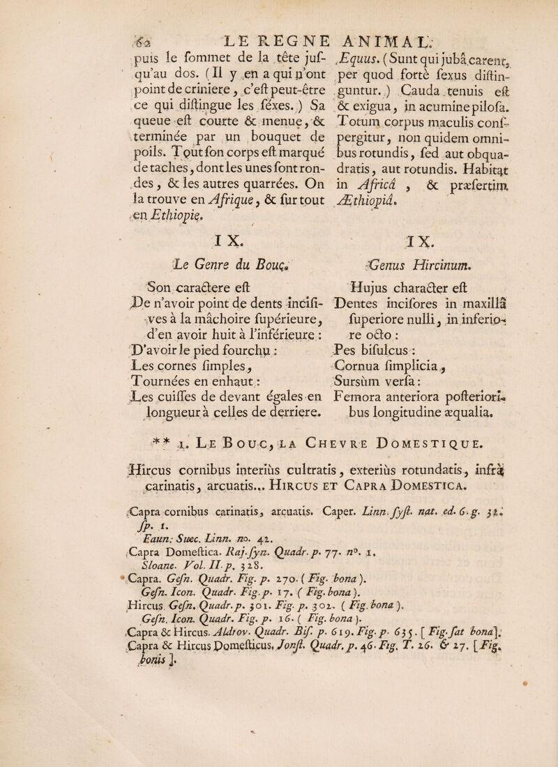 puis le fommet delà tête juf- , Equus. ( Sunt qui jubàcarent. qu’au dos. (Il y en a qui(font per quod fortè fexus diftin- point de crinière, c’eft peut-être guntur..) Cauda tenuis eft ce qui diftingue les fèxes. ) Sa & exigua, jn acumine pilofa. queue-eft courte & menue, & Totum corpus maculis conf- terminée par un bouquet de pergitur, non quidem omni- poils. Tçutfon corps eft marqué bus rotundis, fed aut obqua- de taches, dont les unes font ron- dratis, aut rotundis. Habitat des ,& les autres quarrées. On in Africâ , ôc præferdm la trouve en Afrique, & fur tout Æthiopiâ. Ethiopie. & / I X. I x. Le Genre du Bouçf fGenus Hircinum« Son caraétere eft Hujus charaéter eft J3e n avoir point de dents incili- Dentes incifores in maxillâ ves à la mâchoire fupérieure, fuperiore nulli} in inferioi d5en avoir huit à Inférieure : re oâo : D’avoir le pied fourchu ; Pes bifuleus : Les cornes (impies ^ Cornua lîmplicia^ Tournées en enhaut : Sursiim verfa : Les cuiffes de devant égales en Femora anteriora pofteriorL longueur à celles de derrière. bus longitudine æqualia, ** i. Le Bouc* ;l a Chevre Domestique. Hircus cornibus interius cultratis, exterius rotundatis, infrâi carinatis, arcuatis... Hircus et Capra Domestica. (Capra cornibus carinatis, arcuatis. Caper. Linnfyft* nat. rd. 6g< j % i fP• *• Faun: Smec. Linn. no. 42. .Capra Domeftica. Raj.fyn. Quadr. p* 77. n°. 1. Sloane. Vol.IIp. 3 28. Capra. Gefn. Quadr. Fig. p. 270. ( Fig. bona). Gefn. Icon. Quadr. Fig.p. 17. ( Fig. bona). Hircus, Gefn. Quadr.p» 301. Fig. p. 301. ( Fig. bona ). Gefn. Icon. Quadr. Fig. p. 16. ( Fig. bona ). ;Capra ôc Hircus. Aldrov. Quadr. Bif p. 619. Fig. p• 63 5. [ Fig. fat bona\; Capra Sc Hircus Pomeftipus, Jonjl. Quadr./. 46. Fig% T. 16. & 27. [Fig* bonis ].