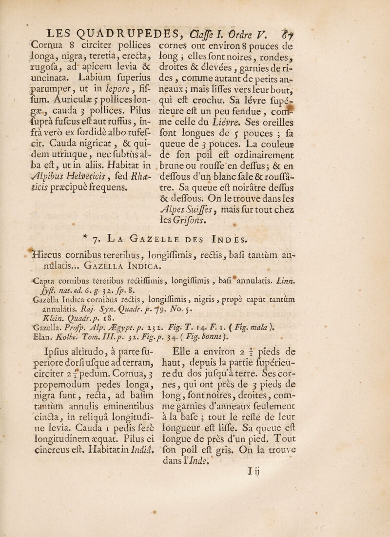 Coraua 8 circiter pollices cornes ont environ 8 pouces de longa, nigra, teretia, ereda, long ; elles font noires, rondes , rugofa, ad apicem levia & droites & élevées , garnies de ri- uncinata. Labium fuperius des , comme autant de petits an- parumper, ut in lepore, fif- neaux; mais liftes vers leur bout, fum. Auriculæ y pollices Ion- qui eft crochu. Sa lèvre fupé- gæ., cauda 3 pollices. Pilus rieure eft un peu fendue , coiÆ fuprà fufcus eft aut ruffus, in- me celle du Lièvre. Ses oreilles frà vero ex fordidè albo rufef- font longues de 5 pouces ; fa cit. Cauda nigricat, & qui- queue de 3 pouces. La couleœ dem utrinque, nec fubtiis al- de fon poil eft ordinairement ba eft, ut in aliis. Habitat in brune ou roufïe en deflus; & en Alpibus Helveticis, fed Rhœ- delfous d'un blanc fale & roufla- ticis præcipuè frequens. tre. Sa queue eft noirâtre deftfus & deffous. On le trouve dans les Alpes SuiJJes, mais fur tout chez les Grifons„ * 7. L a Gazelle des Indes. Hircus cornibus teretibus, longiflimis, redis, bail tantum an- nülatis... Gazella Indica. Capra cornibus teretibus re&iffimis, longiffimis, bafi annulatis. Limi, fyfl. nat. ed. 6, g. 3 2. fp. 8. Gazella Indica cornibus redis, longiffimis, nigris, propè caput tantum annulatis. Raj• Syn. Quadr. p. 79- 5* Klein. Quadr.p, 18. Gazella. Profp. Alp. Ægypt.p. 231. Fig. T. 14. F. 1. ( Fig. mala ). Elan. KolbeTom. III.p. 32. Fig.p. 34. ( Fig. bonne). Ipfius altitudo, à partefu- periore dorfiufqué ad terram, circiter 2 ~ pedum. Cornua, 3 propemodum pedes longa, nigra funt, reda, ad bafim tantum annulis eminentibus cinda, in reliqua longitudi¬ ne levia. Cauda 1 pedis ferè longitudinem æquat. Pilus ei cinereus eft. Habitat in India» Elle a environ 2 \ pieds de haut, depuis la partie fupérieu- re du dos jufqu’à terre. Ses cor¬ nes, qui ont près de 3 pieds de long, font noires, droites, com¬ me garnies d’anneaux feulement à la bafe ; tout le refte de leur longueur eft lifte. Sa queue eft longue de près d’un pied. Tout fon poil eft gris. On la trouve dans Y Inde*