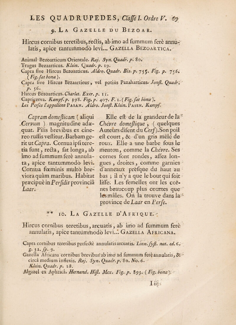 j, La Gazelle du Bezoar. Hircus cornibus teretibus, redis, ab imo ad fummum ferè annû^ latis, apice tantummodo levi... Gazella Bezqartica* Animal Bezoarticum Orientale. Raj. Syn. Quadr. p. 8©é Tragus Bezaarticus. Klein. Quadr. p. 19. Capra live Hircus Bezoarticus. Aldro. Quadr. Bis. p. 75 J. Fig. 75<y. ( Fig.fat bona ). Capra live Hircus Bezaarticus , vel podiis Pazaharticus. Jonjl. Quadr* p. 56. Hirctrs 'B&ôartictrs. Charlet. Exer.p. 1 f. Gaprkerva. K&mpf.p* 398. Fig./?. 407. F. 1. (Fig.fat bona ). P erfes Ï appellent V as an. Aldro. Janfl. Klein. ¥awn. Rampf Capram domeJHcam ( aliqui .Cervum ) magnitudine adae¬ quat. Pilis brevibus ex cine¬ reo ruffis vellitur. Barbam ge¬ rit ut Capra. Cornua ipfi tere¬ tia funt, reda, fat longa, ab imo ad fummum ferè annula- ta, apice tantummodo levi. Cornua fœminis multo bre¬ viora quam maribus. Habitat præcipuè in Perfidis provincia Laari 10. La Ga Elie effc de la grandeur de laf Chèvre domeftique , ( quelques Auteurs difènt du Cerf). Son poil eft court, & dTin gris mêlé de roux. Elle a une barbe fous le menton, comme la Chèvre. Ses cornes font rondes, allez lon¬ gues , droites, comme garnies ; d5 anneaux- prèfqüe du haut au bas ; il n’y a que le bout qui foit liffe. Les femelles ont les col- » nés beaucoup plus courtes que les mâles. On la trouve dans la * province deLaar en Perfe. a le d’AfkiquEo- Hircus cornibus teretibus, arcuatis , ab inio ad fummum ferè annularis, apice tantiimmodo levi..*. Gazella Africana. Capra cornibus teretibus perfe&è annularis arcuatis. Linn.fyjl. nat. ed.6* ë 3fp* 9* Gazella Africana cornibus brevibus^ab imo’ad fummum ferè annularis, ; circa medium inflexis. Raj. Syn. Quadr. p. 80. No. 6. ' Klein. Quadr. p. l8. A%azel ex Aphrica» Hernand, Iiifl. Mex. Fig. p. 893. ( Fig. bona)':