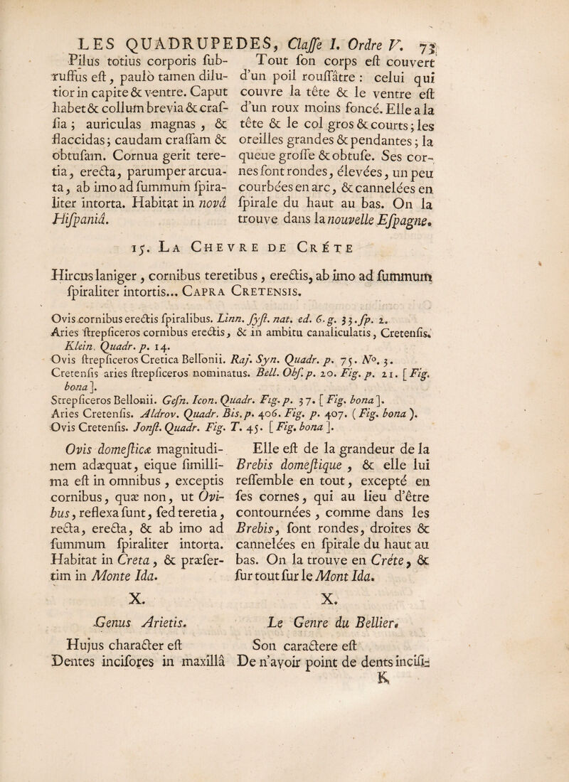 Pilus totius corporis fub- rufius eft, paulo tamen dilu¬ tior in capite & ventre. Caput habet & collum brevia & eraf- lia ; auriculas magnas , & flaccidas ; caudam craffam & db tufam. Cornua gerit tere¬ tia, erefla, parumper arcua¬ ta , ab imo ad fummum fpira- liter intorta. Habitat in nova Hifpaniâ. Tout fon corps eft couvert d’un poil rouilâtre : celui qui couvre la tête & le ventre eft d’un roux moins foncé. Elle a la tête & le col gros & courts ; les oreilles grandes & pendantes ; la queue groffe &obtufe. Ses cor¬ nes font rondes, élevées, un peu courbées en arc, & cannelées en fpirale du haut au bas. On la trouve dans la nouvelle Efpagne* ij. La Chevre de Crète Hircus laniger , cornibus teretibus , ereflis, ab imo ad fummum fpiraliter intortis... Capra Cretensis. Ovis cornibus ereflis fpiralibus. Linn. fyjl. nat. ed. G.g. i. Aries 'ftrepliceros cornibus erectis> 8c in ambitu canaliculatis, Creteniis* Klein, Quadr. p. 14. Ovis ftrepliceros Cretica Bellonii. Raf.Syn. Quadr. p. 75. N°.$. Creteniis aries ftrepliceros nominatus. Bell. Obf.p. 10. Fig. p. n. [ Fig\ bona ]. Strepliceros Bello-nii. Gefn. Icon. Quadr. Fig.p. 3 7. [ Fig. bona']. Aries Creteniis. Aldrov. Quadr. Bis.p. 406. Fig. p. 407. ( Fig. bona ). Ovis Creteniis. Jonfl. Quadr. Fig. T. 45. [ Fig. bona ]. Ovis domejlicœ magnitudi¬ nem adæquat, eique fimilli- ma eft in omnibus , exceptis cornibus, quæ non, ut Ovi¬ bus , reflexa funt, fed teretia, refla, erefla, & ab imo ad fummum fpiraliter intorta. Habitat in Creta, & præfer- tim in Monte Ida. V X. Genus Arietis, Elle eft de la grandeur de la Brebis domejlique , & elle lui reflemble en tout, excepté en fes cornes, qui au lieu d’être contournées , comme dans les Brebis, font rondes, droites & cannelées en fpirale du haut au bas. On la trouve en Crète 7 & fur tout fur le Mont Ida. X. Le Genre du Bellier# Hujus charafler eft Son caraflere eft Dentes incifores in maxillâ De n’a voir point de dents incift: