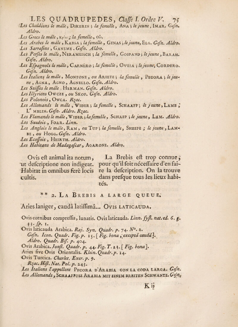 Les Chaldcms U mdk, Dikerin j femelle 3 An a j le jeune, Imar, Gÿ/z* Aldro. ■ Les Grecs le male 3 Kp'of ; femelle>, o;V. Arabes le mâle , Kabsa ; 4zfemelle, Genas *, /e jeunes Elg. Ge/zz, Aldro• £e5 Sarrafns , Ganeme . (re/zz. Aldro. £^5 Perfes le mâle^ Nerameisch -, //z femelle, Gospand ; le jeune, Barah. Gt/zz. Aldro. JL« Efpagnols le mâle 5 Càrnéro j £z femelle, Cveîa ; lejeune, Cordero, Gejh. Aldro. Les Italiens le mâle, Montone , ozz Ariete ; la femelle , Pecora ; £yew- ne , Agna, Agno , Agnello. Gefn, Aldro. Les Suijfes le mâle , Herman. Gr//z. Aldro. Les Illyriens Owcze , ou Skop. G^/zz. Aldro. Les P olonois, Owca. F^/zc. Les Allemands le mâle 5 Wider ; la femelle , Schaaff ; Ze j eune, Lamb * Le mblin. Ge//z- Aldro. R^ac. Les Flamands le mâle, Wider ; £zfemelle 3 Schaep ; /e jeune, Lam. Aldro» £^5 Suédois y Foar. Linn. Les An fois le mâle, Ram , ou Tup > 4z femelle, Sheepe ^ le jeune , Làm« be , ozz Hogg. Gr/zz. Aldro. ■Les Ecoffois , Heirth. Aldro. Les Habitans de Madagafcar > AgARONe. Aldro. Ovis eft animal ita notum, La Brebis eft trop connue j ut deferiptione non indigeat, pour qu’il foit néceffaire d’en faL Habitat in omnibus ferè locis re la defeription. On la trouve cultis. dans prefque tous les lieux habL tés. * * 2. L a Brebis a large queue. Aries laniger ; caudâ latifïimâ... Ovis laticauda» O vis cornibus compreflis, lunatis. Ovis laticauda. Linn. fyfl. nat.ed. g* Ovis laticauda Arabica, Fzzy. ty/z. Quadr. p. 74. A70. 2. Gefn, Icon. Quadr. Fig. p. 15. [ Fig. £0/2*2 excepta caudâ]. Aldro. Quadr. B if. p. 404. Ovis Arabica. /0/2/?. Quadr. p, 44. F/g. F.z 3. [ F/g. bona\. Aries live Ovis Orientalis. Klein. Quadr.p. 14. Ovis Turcica. Charlet. Exer. p. y. R{ac. Hifl. Nat. Pol. /?. 243. £es Italiens Vappellent Pf.corA d’ArabIA con la coda larga. Gefn. Les Allemands 9 Schaafïusz Arabia mixeinem breiten Schwantz* GÿfG