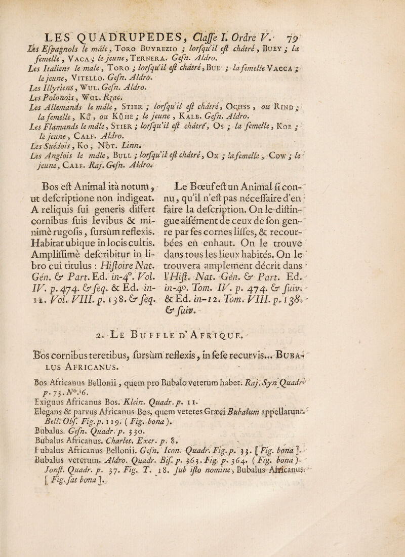 iks Efpagnols le mâle, Toro Buyrezio ; lorfquil eji châtré , Buey ^ la femelle , Vaca; le jeune, Ternera. £A//z. Aldro. Le* Italiens le male , Toro ; lorfquil efi châtré. Bue ; Az femelle Vacca / /e jeune. Vitello. Aldro. Les Illyriens, Wul. Gefn. Aldro. Les Polonois , Wol. R{ac. Les Allemands le mâle, Stier ; lorfquil ef châtré, Ocess , Rind^ la femelle, Ku, o/z Kühe; /e yezz/ze , Kalb. Gefn. Aldro. Les Flamands le mâle, Stier ; lorfquil ejl châtré. Os ; femelle, Kôe ; le jeune, Calf. Aldro. Les Suédois, Ko , Not. Linn* Les Anglois le mâle, Bull ; lorfquil ef châtré, Ox ; femelle , Cow ; /g jeune. Cale. Raj.Gefn. Aldro« Bos eft Animal itànotum5 Le Bœufeftun Animalfi corn ut defcriptione non indigeat, nu, qu il n eft pas néceflaire d’en A reliquis fui generis differt faire la defcription. On le diftin- cornibus fuis levibus & mi- gue aifément de ceux de fon gen- nimè rugofis , fursùm reflexis, re par fes cornes liiïes, & recour- Habitat ubique in locis cultis, bées en enhaut. On le trouve Ampliflimè defcribitur in li- dans tous les lieux habités. On le bro cui titulus : Hijloire Nat. trouvera amplement décrit dans * Gén. & Part. Ed. z/2-40* Vol. VHiJl. Nat. ‘Gén* & Part. Ed« ? IV. p. 474. &feq* & Ed. -z/z- m-40. Tom. I/A p. 474. & fuiv* * 11» VoL VIIL p. 138. & feq. &Ed. in-12, Tom. VIÎL p* l$8. * & JùzV» r j 2. Le Bu ff le d’Afrique. - Bos cornibus teretibus, fursùm reflexis , infefe recurvis,.. B usa** lus Africanus. Bos Africanus Beilonii, quem pro Bubalo veterum habet. Raj. Syn Quadf' p. 73. N°J6. Exiguus Africanus Bos. Klein. Quadr. p. 11. Elegans & parvus Africanus Bos, quem veteres GrxéiBubalum appellarunt. Bell. Ohf Fig.p. 119. ( Fig. bona). Bubalus. Gefn. Quadr.p. 330. Bubalus Africanus. Charlet. Fxer.pi 8. ' Eubalus Africanus Beilonii. Gefn. Icon. Quadr. Fig.p. 33*[ Fig. bona ]» Bubalus veterum. Aldro. Quadr. Bif. p. $6 j. Lig. p. 364. ( AAp bond)o Jonf. Quadr. p. 37. Fig. T» 18. jub ifo nomine. Bubalus Africanum ' [ Fig.fat bona].,