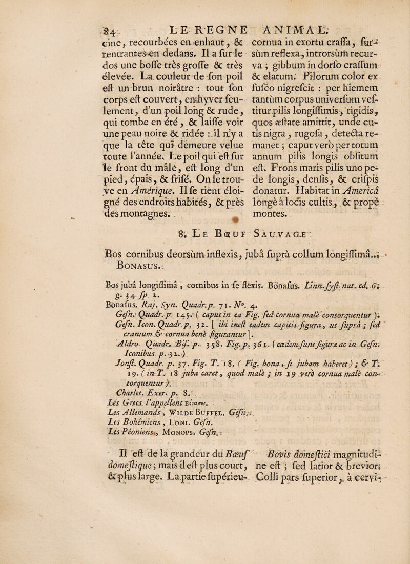 cine, recourbées en-enhaut, & cornua in exortu craiïa, fur- rentrantes^ dedans* Il a fur le sùm reflexa., introrsum recur- dos une boiïe très grofle & très va ; gibbum in dorfo craflum élevée. La couleur de fon poil & elatum. Pilorum color ex eft un brun noirâtre : tout fon fufco nigrefcit : perhiemem corps eft couvert, emhyver feu- tantum corpus univerfumvef- lement, d’un poil long & rude, titurpilis longiiïimis:, rigidis, qui tombe en été , & laiffe voir quos æftate amittit, unde eu- une peau noire & ridée : il a y a tis nigra, rugofa, deteâa re- que la tête qui? demeure velue manet; caput vero per totum toute l’année. Le poil qui eft fur annum pilis longis obfitum le front du mâlé, eft long d’un eft. Prons maris pilis uno pe- pied, épais, & frifé. On le trou- de longis, denfis, ôc crifpîs ve en Amérique. Ilfe tient éloi- donatur. Habitat in America gné des endroits habités , ôtprès longé à locis cultis , ôt propè des montagnes.. montes. 8; Le Bceuf Sauvage Bos cornibus deorsùm inflexis,, jubâ fuprà collum longiffimâ Bonasus,;. o*4 Bos jubâ longifïimâ■> comibus in fe flèxis. Bdnafus. Linn.fyft- nat. ed. GP g- *>±fp *• Bdnafus. Raj. Syn. Quadr.p, 71. N*>. 4, Gefnj Q-uadr. p 145. ( caput in eaFig. fed cornua malYcontorquentur ). Gefn. Icon. Quadr, p. 32. [ ibi ’mefl eadem capitis^figura, ut fuprà ; fed cranium & cornua bene figurantur Aldro. Quadn, 3if. p. 3 5:8. Fig. p. 3 61 . ( eœdemfuntfigura ac in Gefm Iconibus. p, >3 2. ) Jonjl. Quadn p. 37. Fig, T. 18, / Fig. bonay/t jubam haberet) ; & T. 19. ( in T* <8 juba caret y quod malh ; in 19 refit comua male con- torquentur ). Ckarlet. Exer* p. 8. , Les Grecs Vappellent boWo*. . Les Allemands ^ Wilde Buffel. Gefn;:. Les Bohémiens , Lôni. Gefn. Les P ioniens.^ Monops. Gefh.% Il eft de la grandeur du Bœuf Bovis domeflïci magnîtudî- domejlique; mais il eft plus court, ne eft ; fed latior & breviori & plus large. La partie fupérieu- Colli pars fuperior, à ceryi-