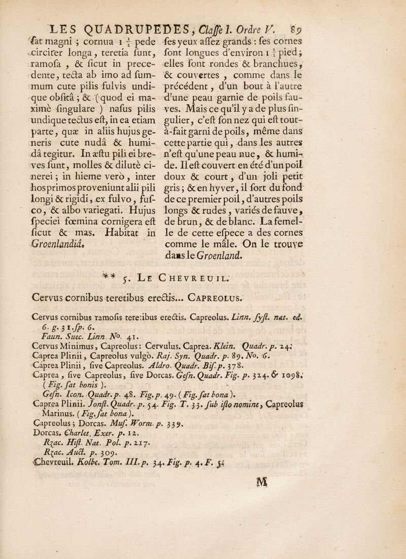 fat magni ; cornua i \ pede fesyeux affez grands : fes cornes font longues d’environ 11 pied ; elles font rondes &branchues, & couvertes , comme dans le précédent , d’un bout à F autre que obfttâ ; & ( quod ei ma- d’une peau garnie de poils fau- ximè fmgulare ) nafus piîis ves. Mais ce qu’il y a de plus fm- -n gulier, c’eft fonnez qui efttout O ' ^ I -circiter longa, teretia funt, ramofa , & ficut in prece¬ dente, teéla ab imo ad fum- mum cute pilis fulvis undi undique teâus eft, in ea etiam parte, quæ in aliis hujus ge¬ neris cute nudâ & humi- dâ tegitur. In æftu pili ei bre¬ ves funt, molles & dilutè ci¬ nerei ; in hieme vero, inter hos primos proveniunt alii pili longi & rigidi, ex fulvo, fuf- co, & albo variegati. Hujus fpeciei fœmina cornigera eft ficut & mas. Habitat in Groenlandid' à-fait garni de poils, même dans cette partie qui, dans les autres n eft qu’une peau nue 7 & humi-» de. Il eft couvert en été d’un poil doux & court, d’un joli petit gris ; & en hyver, il fort du fond de ce premier poil, d’autres poils longs & rudes, variés de fauve , de brun, & de blanc. La femel¬ le de cette efpece a des cornes comme le mâle. On le trouve dans le Groenland. 5. Le Chevreuil, Cervus cornibus teretibus eredis... Capreolus. Cervus cornibus ramofts tereribus eredis. Capreolus* Linn. fyJL nat. ed* Faun. Succ. Linn. N°. 41. Cervus Minimus > Capreolus : Cervulus. Caprea. Klein. Quadr. p. 24; Caprea Plinii, Capreolus vulgo. Raj. Syn. Quadr. p. 89. No. 6. Caprea Plinii, five Capreolus. Aldro. Quadr. Bif.p, 378* Caprea, five Capreolus, five Dorcas. Gefn. Quadr. Fig. p. 324.6* 1098,’ ( Fig. fat bonis ). Gefn. Icon. Quadr.p. 48. Fig.p. 49. ( Fig.fatbona ). Caprea Plinii. Jonfl. Quadr. p. 54. Fig. T. 3 3. fub ijlo nomine, Capreolus Marinus. ( Fig.fat bona ). Capreolus ; Dorcas. Muf. Worm. p. 33 9. Dorcas. Gharlet. Exer. p. 12. R{ac. Hifl. Nat. Pol. p. 2J7. R^ac. Aucl. p. 309. Chevreuil. Kolbe. Tom. IILp. 34. Fig. p. 4, F. j-4 M