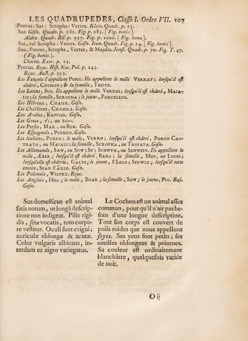 Porcus : Sus : Scropha : Verres. Klein. Quadr. p. 25, Sus. Gefn. Quadr* p. 982. Fig. p. 9 85. [ F/g. /0/225 ]. Aldro, Quadr. Bif.p. 937. Fig. p. 1006'. [ Fzg. }, Sus, vel Scropha : Verres, /co/2. Quadr. Fig.p. 24. [Fzg. louis]. Sus, Porcus, Scropha , Verres, &Majaiis. Jonji* Quadr.p. 70. Fig. T. 47«, (* Fig. bonis ). Charlet. Exer. p. 13. Porcus. FUJI. Nat. Pol.p. 243. F^/zc. Aucl.p> 33 3. Zc5 Fane ois V appellent Porc.. Ils appellent le mâle Verrat *, lorfquil efl châtré, Cochon *, & /22 femelle , Truye. Les Latins, Sus. Ils appellent le mâle Verres i lorfquil efl châtré 9 Maja¬ lis -, femelle, Scropha , Z jeune ^ Porcellus. Zc5 Hébreux, Ciiasir. (rc/zz. Les Chaldéens, Ch a sir A. Gc/zz. JLes Arabes , Kanisir. (rc/zz, Zei Grecs.) fs, 022 Xo/pof. Les Perfes, Mar , ou Buk. Gefn. Les Efpagnols , Puerco. Gefn. Zc5 Italiens, Porco •> F mâle^ Verro s, lorfquil ef châtré, Porco Cas¬ trato, ou Maj ALL yla femelle, Scropha , 022 Troiata. Gc/zz» Allemands, Saw, 022 Suw *, Su ; Schwyn , ou Schwein. Ils appellent le mâle , Æber; lorfquil efl châtré, Barg ; /æ femelle , Mos, 022 Looss , lorfqil'elle ef châtrée, Galts; Z jeune y FÜrle j Seuwle; lorfquil tetti encore, Span F arle. Gefn. Les Polonois , Wieprz. F^/zc. Zc5 Anglois , Hog j le mâle 5 Boâr ; la femelle, Sow; le jeune, Pig. F4/* Gefn. Sus domeftlcus efl: animal fatis notum, ut longâ deferip- tione non indigeat. Pilis rigi¬ dis > fetœvocatis > toto corpo¬ re veftitur. Oculi funt exigui; auriculæ oblongæ & acutæ. Color vulgaris albicans, in* terdum ex nigro variegatus. Le Cochon efl un animal aiïei commun ^ pour qu’il n’ait pas be- foin d’une longue defeription* Tout fon corps efl couvert de poils roides que nous appelions foyes. Ses yeux font petits ; fes oreilles oblongues & pointues*. Sa couleur efl ordinairement blanchâtre de noir. } quelquefois variée