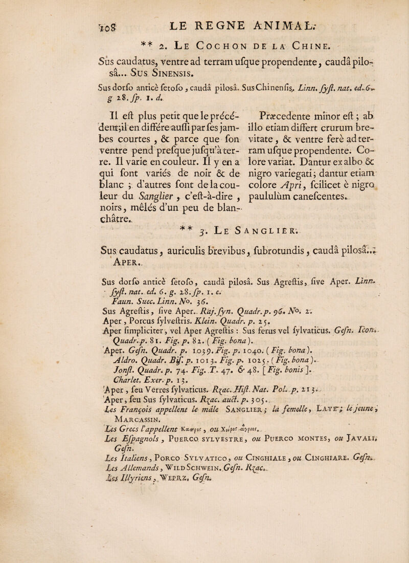 ** 2. Le Cochon de la Chine. Sus caudatus, ventre ad terram ufque propendente, caudâ pilo-; sa... Sus Sinensis. Susdorfo anticè fetofo , caudâ pilosa. SusChinenfis,. Linn.fyfl. nat. ed^6*-. g zî.fp. i. d. Il eft plus petit que le précé- denr,il en diffère auffi par fes jam¬ bes courtes , & parce que fon ventre pend prefque jufqu’à ter¬ re. Il varie en couleur. Il y en a qui font variés de noir & de blanc ; d’autres font de la cou¬ leur du Sanglier , c’eft-à-dire , noirs, mêlés d’un peu de blan¬ châtre., ** 3. Le S Præcedente mînor eft ; ab illo etiam differt crurum bre¬ vitate, & ventre ferè ad ter¬ ram ufque propendente. Co¬ lore variat. Dantur exalbo & nigro variegati; dantur etiam colore Apri, fcilicet è nigro paululum canefcentes^ t NGLIER. Sus caudatus, auriculis brevibus, fubrotundis, cauda pilosa.,; Aper,, Sus dorfo anticè fetofo 3 caudâ pilosa. Sus Agreftis, five Aper. Linn. ' fyft' nat* A* 6. g. iS.fp. 1. e. Faun. Suec.Linn. No. $6. Sus Agreftis, live Aper..Rhf.fyn. Quadr. p. No. r. Aper, Porcus fylv>eftris. Klein. Quadr. p. 15, Aper fiirrpliciter, vel Aper Agreftis : Sus fenis vel fylvaticus. Gefn» Icon* Quadr.p. 81. Fig. p. 82. ( Fig. bona). 'Aper. Gefn. Quadr. p. 1059.Fig. p. 1040. {Fig, bona). Aldro. Quadr. B'f. p. 1 o 15.. Fig. p'. 1 o2 5. ( Fig. bona )... Jonjl. Quadr. p. 74. Fig. T..'47. & 48, |’ Fig. bonis ]• Charlet. Exer.p. 15, Ape.r , feu Verres fylvaticus. R%ac,FUJI. Nat. PoL p. 215. Aper, feu Sus fylvaticus. R^ac. aucl. p. 305. Pes François appellent le mâle Sanglier; la femelle, Laye~; le jeune? Marcassin. Fes Grecs rappellent Ka^o? 3 ou xdpfâLyp/o?e Les Efpagnols > Puerco sylvestre, ou Puerco montes, ou Javalï. Gefn. Les Italiens, Porco Sylvatico, ou Cinghiale , ou Cinghiare. Gefn. Les Allemands, NVildSchwein. Gefn. Rçac^ Les IUyrkns ?, Wevrz, Gefn.