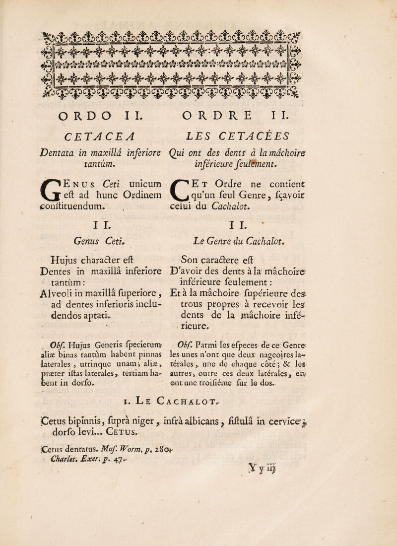 / ORDO IL CETA CE A Dentata in maxillâ inferiore tantum. GEnus Ceti unicum efl; ad hunc Ordinem conitituendum. ORDRE II. LES CETACÊES Qui ont des dents à la mâchoire inférieure feulement. CE T Ordre ne contient qu’un feul Genre > fçavoir celui du Cachalot. I L I L Genus Cetu Le Genre du Cachalot» Hujus charaéter efl: Dentes in maxillâ inferiore tantum : Alveoli in maxillâ fuperiore , ad dentes inferioris inclu¬ dendos aptati. Ohf. Hujus Generis fpecierum aliae binas tantum habent pinnas laterales , utrinque unam j alias, præter illas laterales ,> tertiam ha^ bent in dorfo. 'i. Le C Son caraâere efl: Devoir des dents à la mâchoire inférieure feulement : Et à la mâchoire fupérieure des trous propres à recevoir les: dents de la mâchoire infé¬ rieure. Obf. Parmi les efpeces de ce G en rô¬ les unes n’ont que deux nageoires la« téralesune de chaque coté*, 8e les autres , outre ces deux latérales * en ont une troifiéme fur le dos. L GH AL O T. jCetus bipinnis, fuprà niger, infrà albicans, fiftulâ in cervice* J dorfo le vu.* Cetus. Cetus dentatus. Muf. Wormt p. 280^ Char Ut* Excr. p. 41** * ' \r y j aii % / 1 /