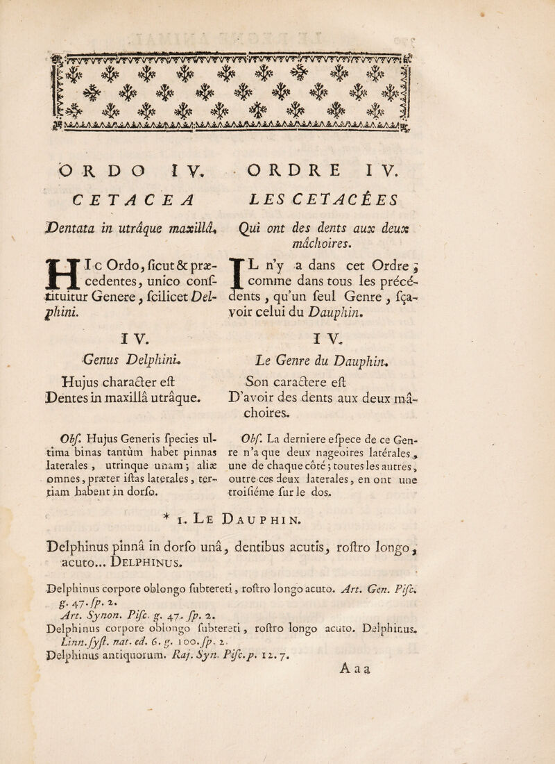 •^ *% *$* ^ ^ ^ ^ $* *$*! Ife^ affe #|fe ^ =i§& ^ *f* Ordo i v, e et a ce a Dentata in utrâque maxillâ* H i c Ordo, ficut & prae¬ cedentes j unico coni- tituitur Genere > fcilicet Del- phini. I V. Genus Delphinh Hujus charader eft Dentes in maxillâ utrâque. Obf Hujus Generis fpecies ul¬ tima binas tantùm habet pinnas laterales , utrinque unam ; aiiæ omnes, præter illas laterales, ter¬ tiam habent in dorfo. • ORDRE I V. LES C ETACÊ ES Qui ont des dents aux deux mâchoires. ST L n’y a dans cet Ordre 9 comme dans tous les pracc¬ ents , qu’un feul Genre } fça- voir celui du Dauphin. I Y. Le Genre du Dauphiiu Son caradere efl; D’avoir des dents aux deux mâ¬ choires. Obf. La derniere efpece de ce Gen¬ re n’a que deux nageoires latérales une de chaque côté ; toutes les autres > outre ces deux laterales? en ont une troifiéme fur le dos. * î. Le D au phin. Delphinus pinnâ in dorfo unâ y dentibus acutis, roflro longo 9 acuto... Delphinus. Delphinus corpore oblongo fubtereti, rofiro longo acuto. Art. Gcn. Pifc. g. A7.fp. 2. Art. Synon. Pifc, g. 47.. fp. 2. Delphinus corpore oblongo fubtereti, rohro longo acuto. Delphinus* Linn.fyfl. nat. cd. 6.g. 100 .fp. 2. Delphinus antiquorum. Ra/.Syn. Pifc.p, 11. 7. Â a a