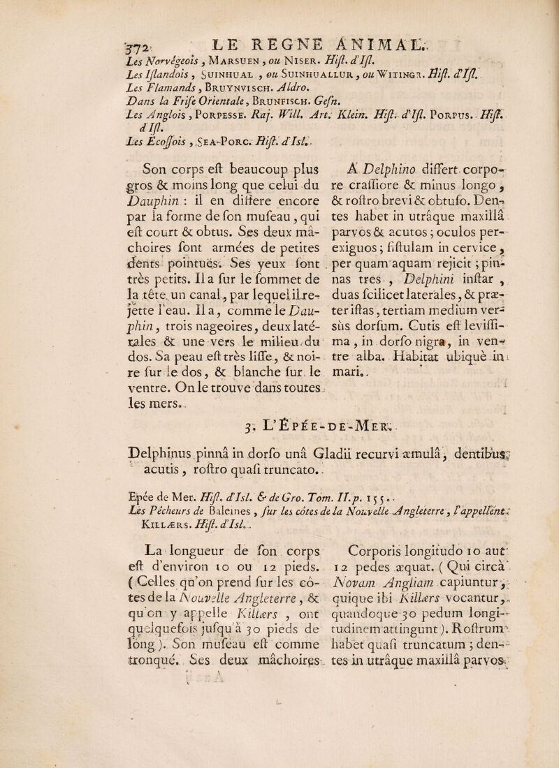 Les Norvêgeois , Marsuen , ou Miser. Hifl. dlfl. Les Ijlandois , Suinhual , ou Suinhuallur, ou Witingü. Bift. cTïjl. Les Flamands, Bruynvisch. Aldro. Dans la Frife Orientale, Brunfisch. Gefn. Les Angloh , Porpesse. ifa/. /Fi//. Klein. WJl* dlfl. Porpus. 7/i/E dlfl. Les Ecojlois , ,Sea-Porc. Hijl.dlsL. Son corps eft beaucoup plus Â Delphino differt corpo- gros & moins long que celui du re craffiore & minus longo 9 Dauphin : il en diftere encore &roftro brevi &obtufo. E*em par la forme de fon mufeau , qui tes habet in utrâque maxillâ eft court & obtus. Ses deux mâ~ parvos & acutos ; oculos per— choires font armées de petites exiguos ; liftulam in cervice * dents pointues; Ses yeux font . per quam aquam rejicit ; pin- très petits. Il a fur le forum et de nas tres , Delphini inftar , la tête,un canalpar lequeiilre^ duas fciiicet laterales, & præ- jette feau. Il a ^ comme le Dau- teriftas ? tertiam medium ver- phin, trois nageoires, deux laté- sus dorfum. Gutis eft leviffi— raies & une vers le milieu du ma , in dorfo nigra, in ven-* dos. Sa peau eft très liffe, ôcnoi- tre alba. Habitat ubiquèdm re fur le dos, & blanche fur, le mari,, ventre. On le trouve dans toutes. les mers., 3} L’Èpée-de-Mer^ Delphinus pinnâ in dorfo unâ Gladii recurvi æmulâ, dentibus? acutis , roftro quafi truncato., Epée de Mer. Hifl. dlsl. & de Gro. Tom. II.p. 1550. Les Pêcheurs de Baleines , fur les côtes de la Nouvelle Angleterre, f appellenti K IL L Æ R S. Hijl. dlsL . La longueur de fon corps eft d’environ to ou 12 pieds. ( Celles qu’on prend fur les cô¬ tes de la Nouvelle Angleterre, Sc qu on y appelle Küiœrs , ont quelquefois jufqu à 30 pieds de Corporis longitudo 10 aut* 12 pedes æquat, ( Qui circà' Novam Angliam capiuntur ^ quique ibi KilDrs vocantur,,, quandoque 30 pedum longi¬ tudinem attingunt ). Roftrum* habet quafi truncatum ; den— iong Son mufeau eft comme tronqué. Ses deux mâchoires tes in utrâque maxiilâ parvos